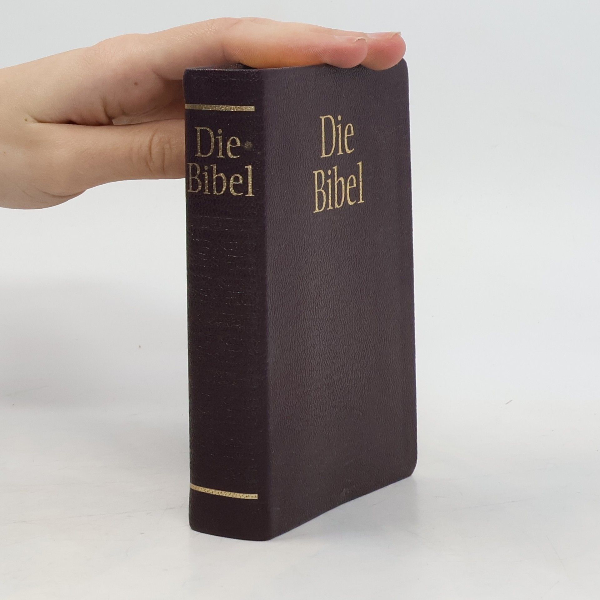 kolektiv Die Bibel