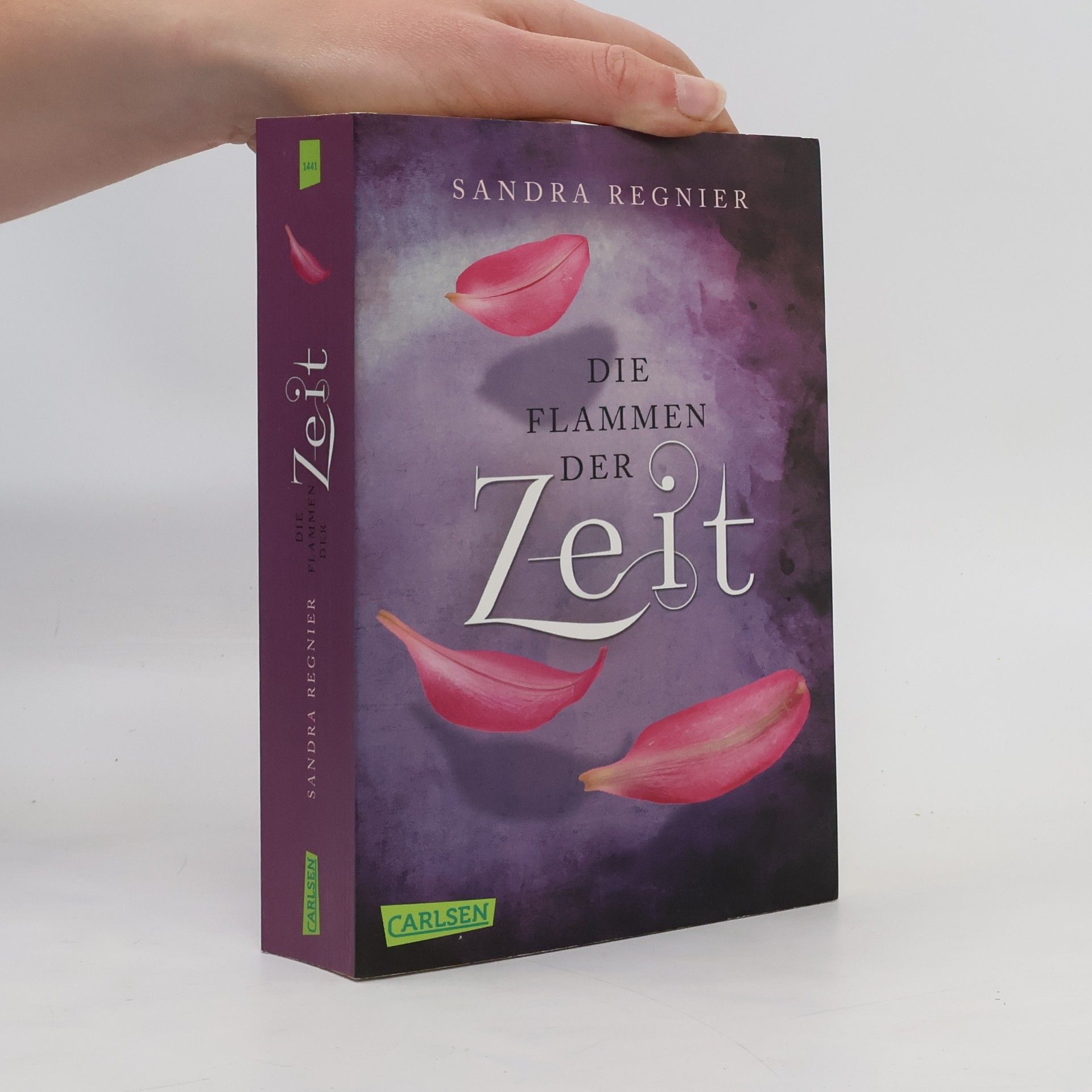 Sandra Regnier Die Flammen der Zeit
