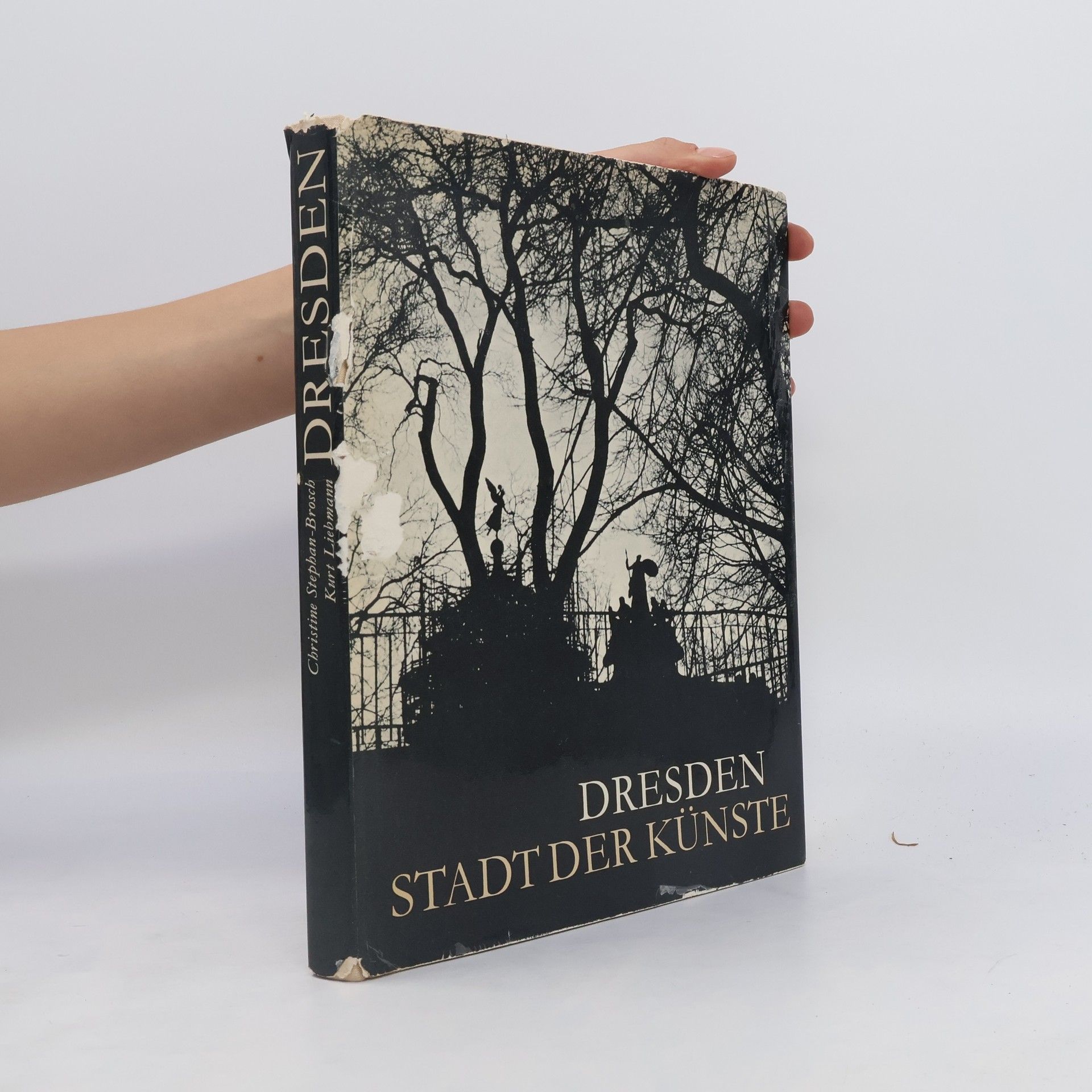 Christine Stephan-Brosch Dresden. Stadt der Künste