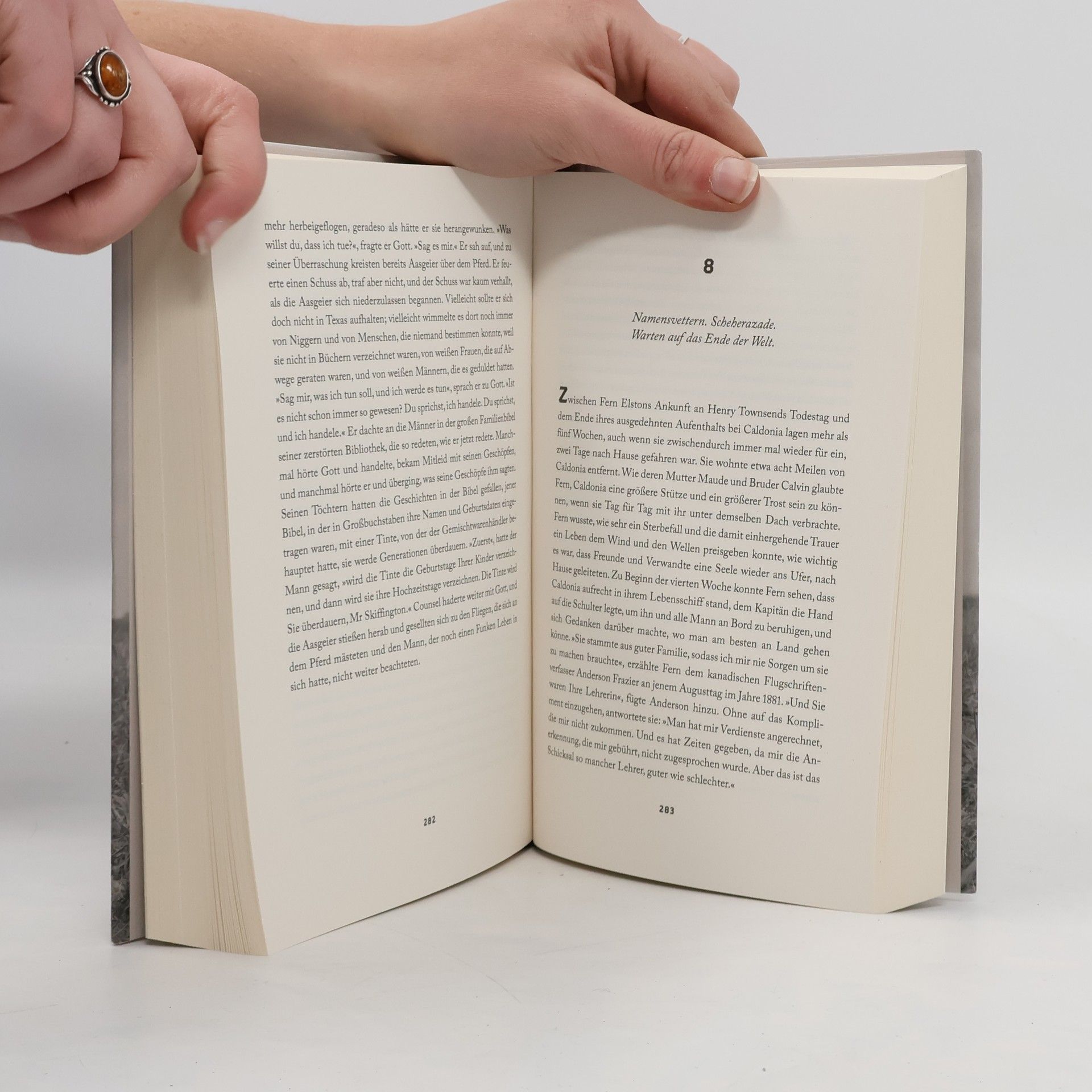 Edward P. Jones Die bekannte Welt