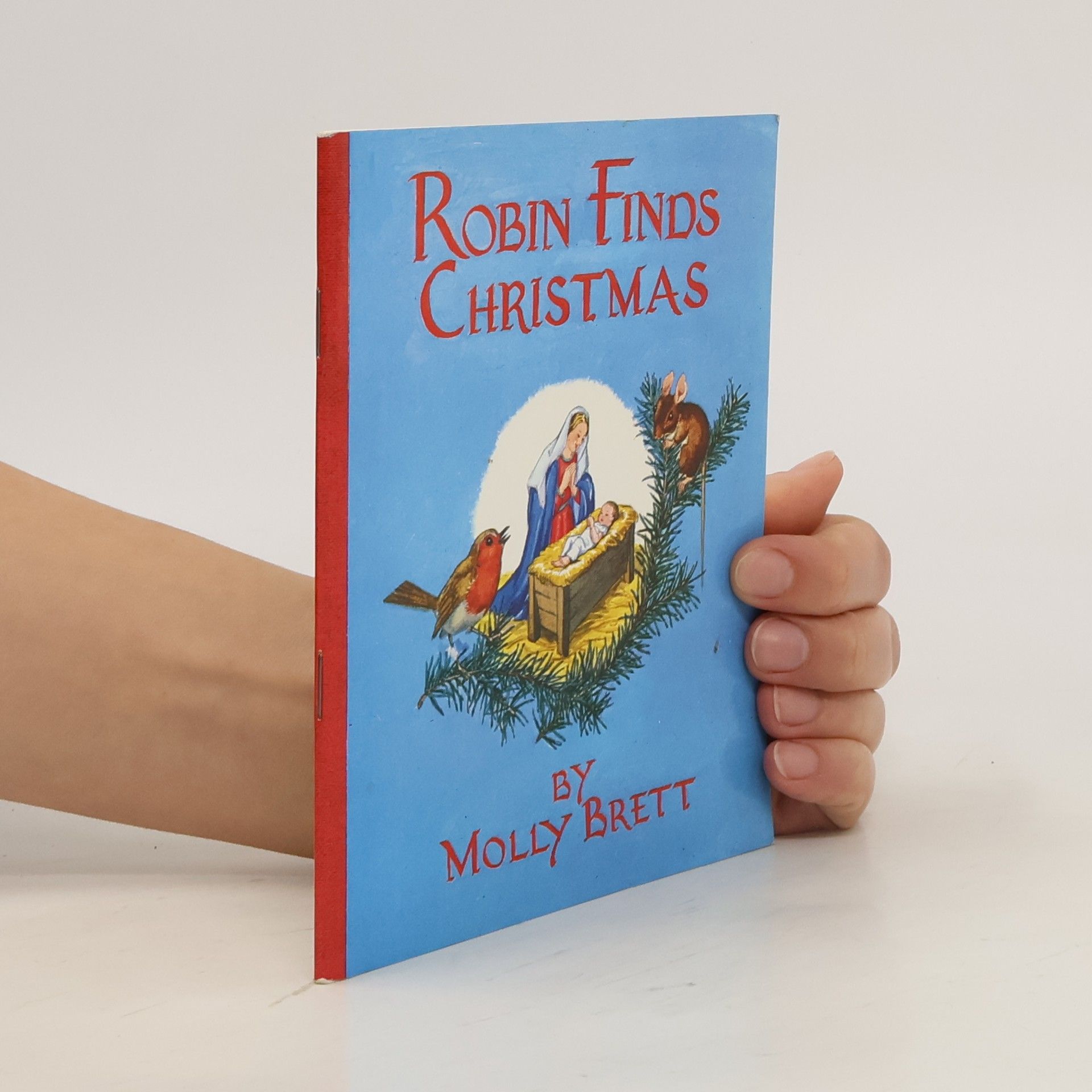 Molly Brett Robin Finds Christmas