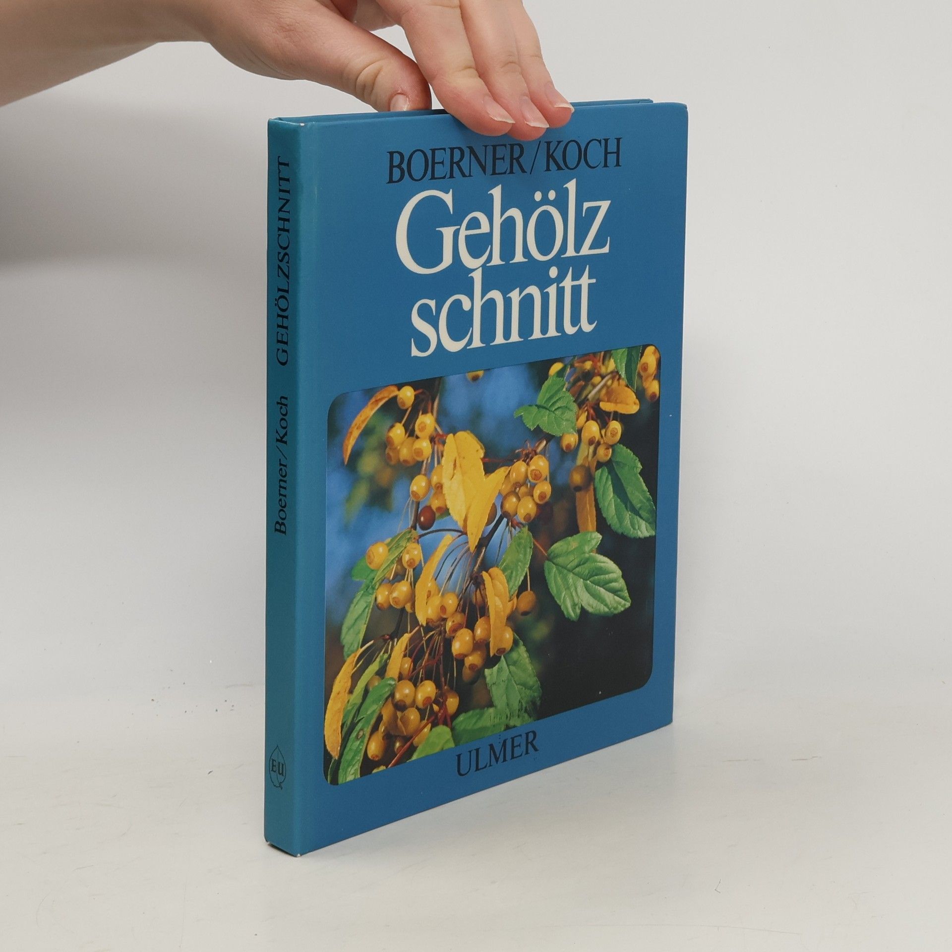 Harro Koch Gehölzschnitt