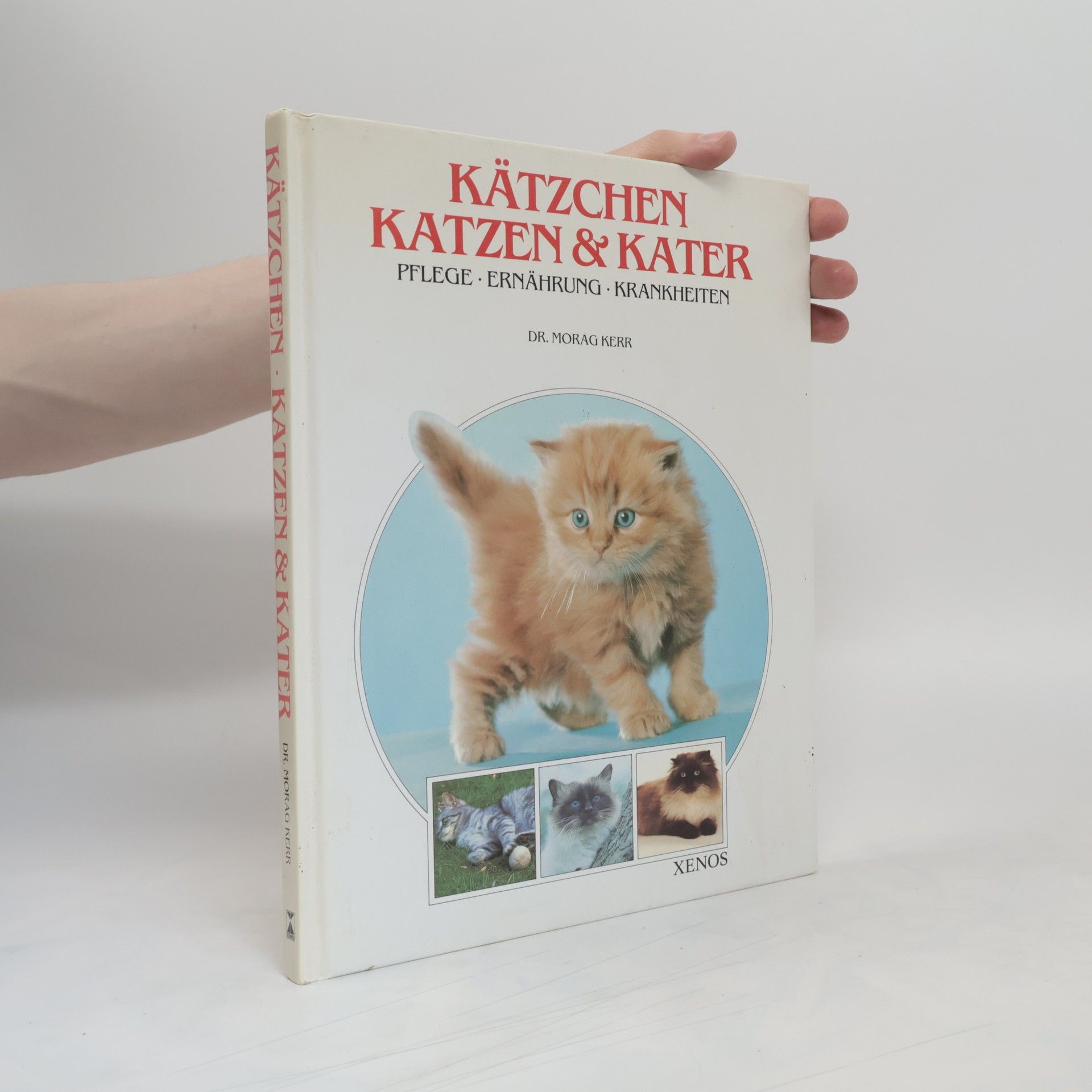 Morag Kerr Kätzchen, Katzen & [und] Kater