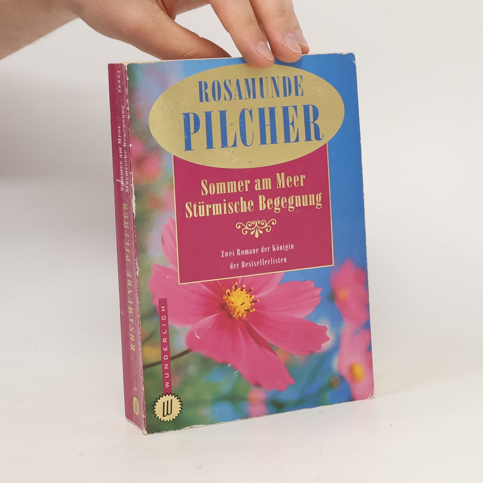 Rosamunde Pilcher Sommer am Meer Stürmische Begegnung