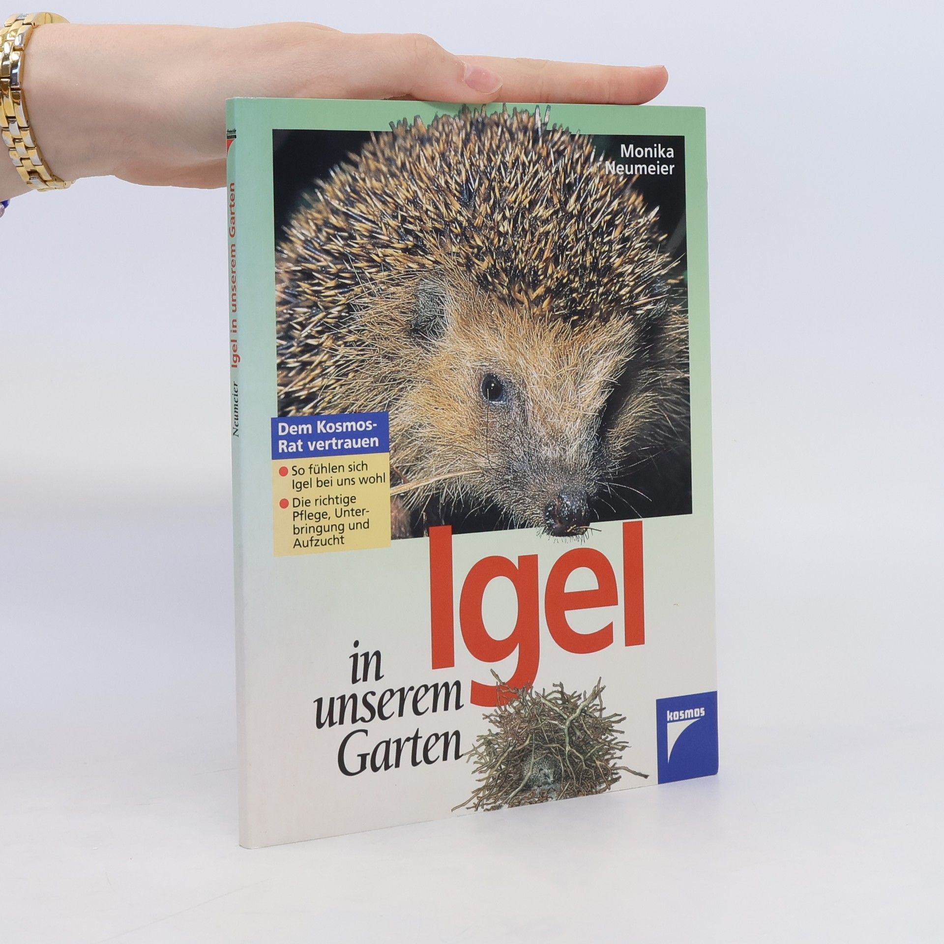 Monika Neumeier Igel in unserem Garten