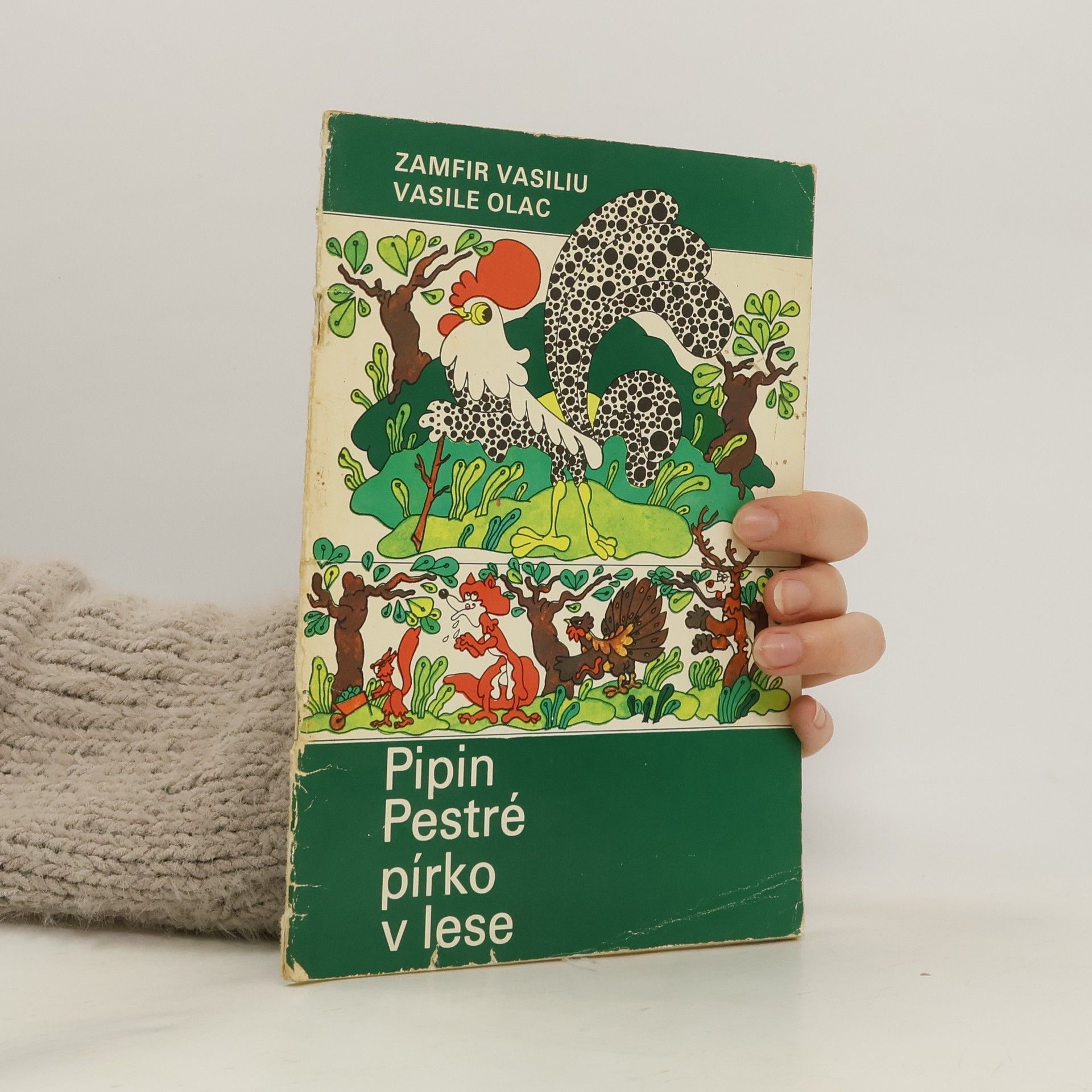 Zamfir Vasiliu Pestré pírko v lese