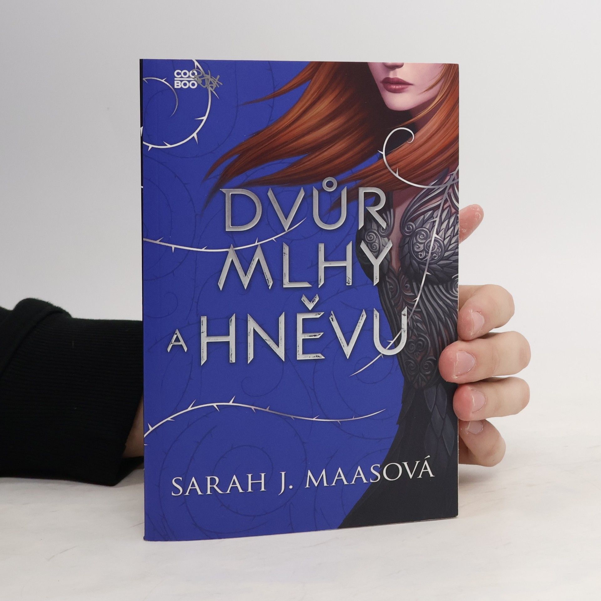 Sarah J. Maas Dvůr mlhy a hněvu