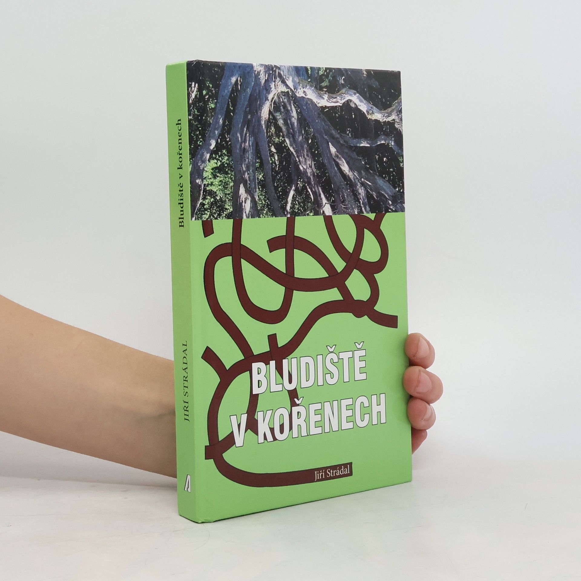 Jiří Strádal Bludiště v kořenech