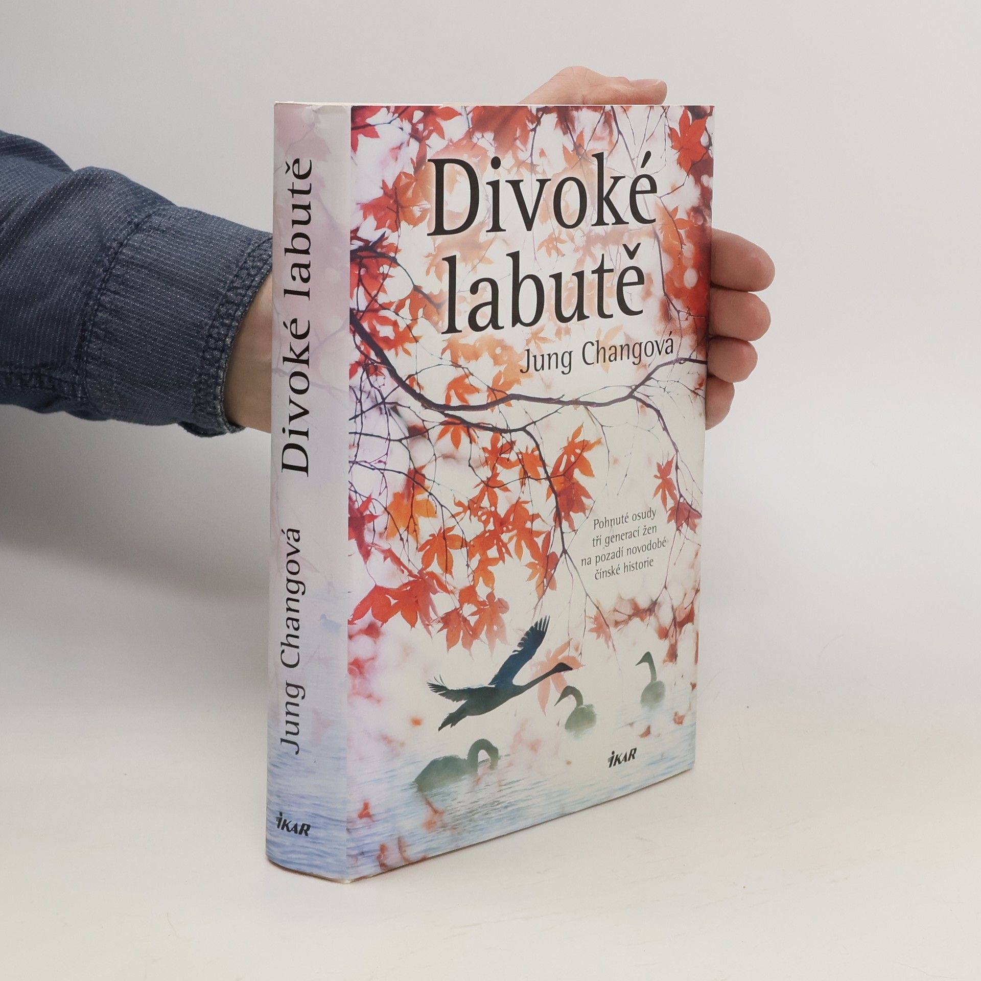 Yong Chang Divoké labutě