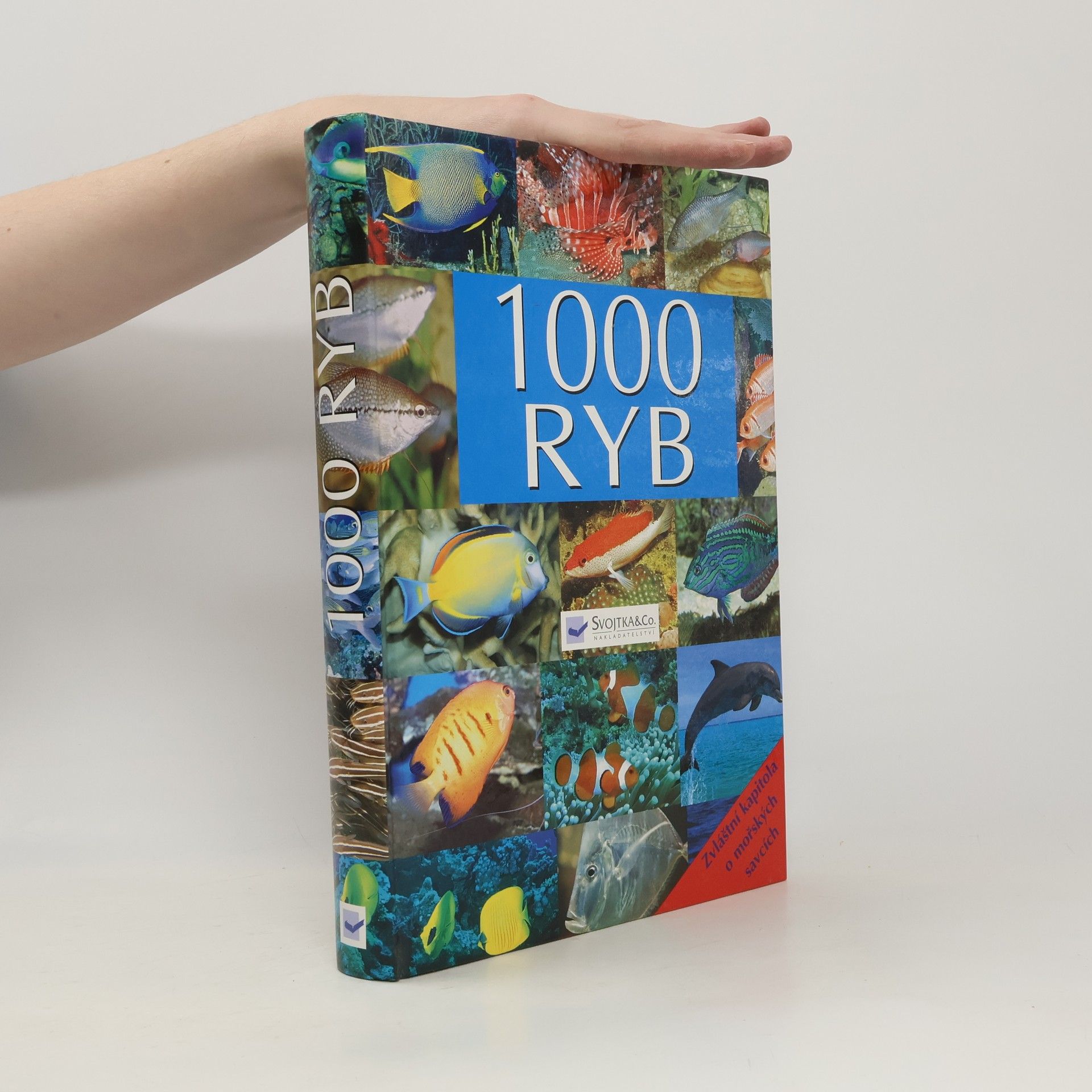 kolektiv 1000 ryb