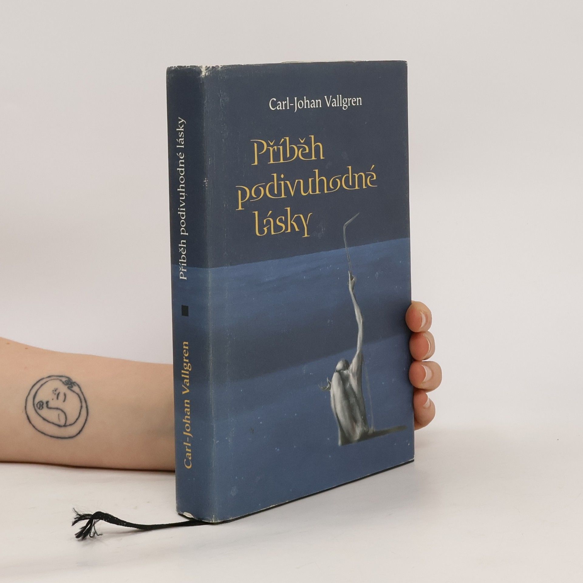 Carl-Johan Vallgren Příběh podivuhodné lásky