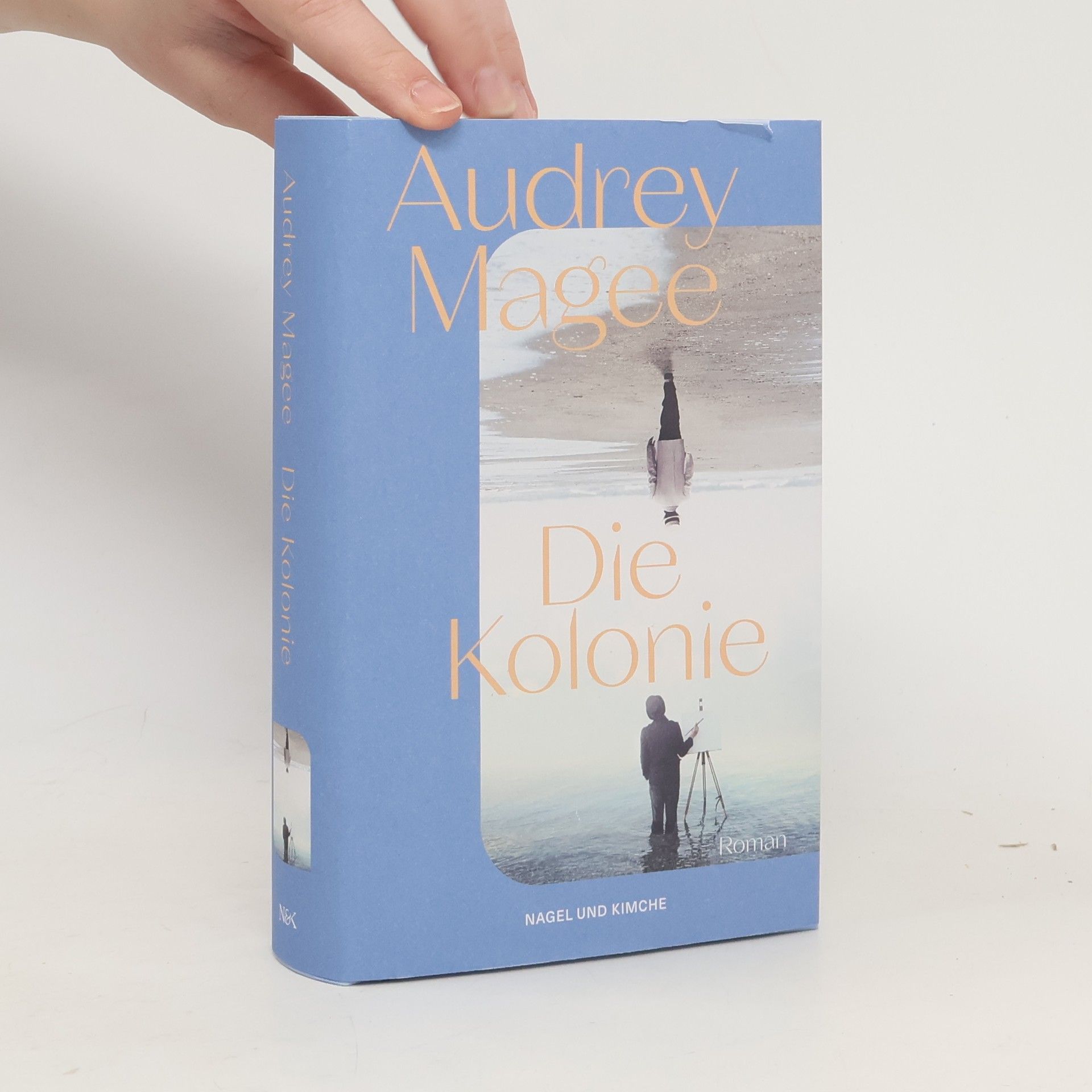 Audrey Magee Die Kolonie