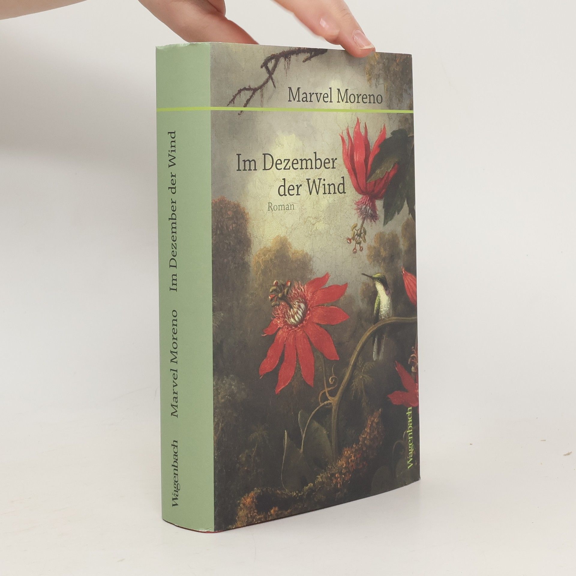 Marvel Moreno Im Dezember der Wind