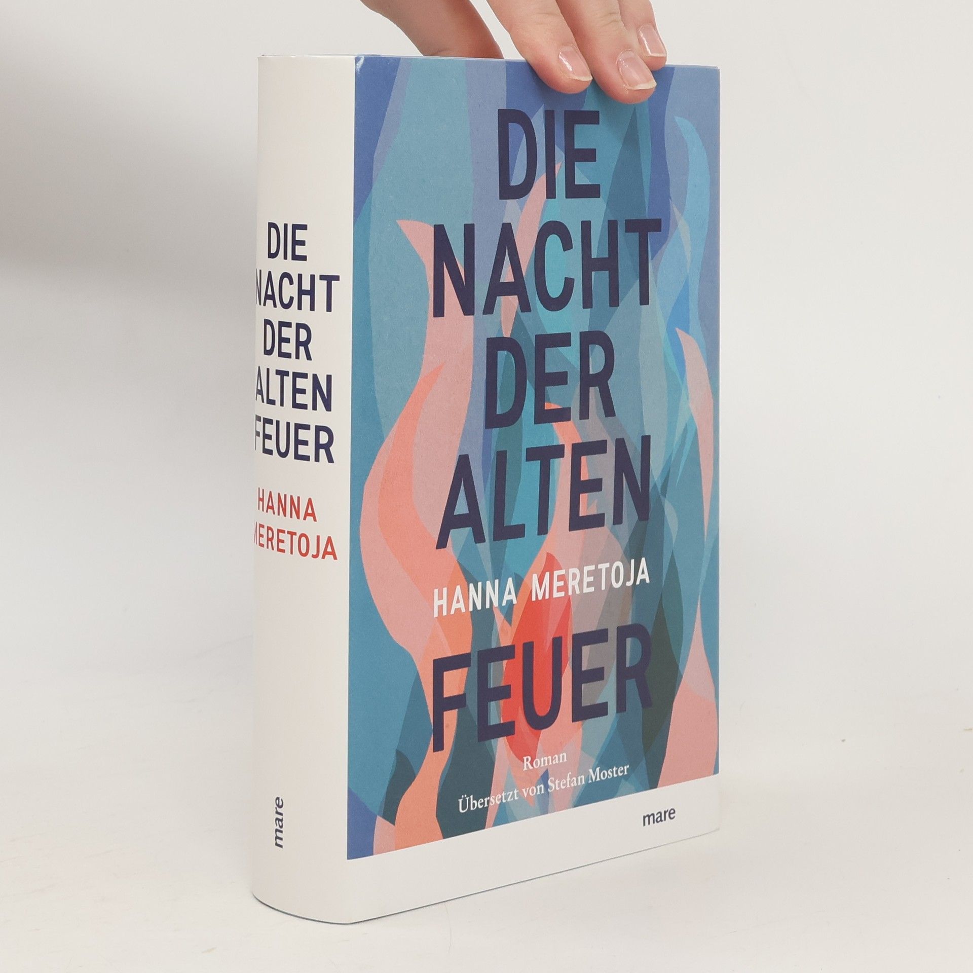 Hanna Meretoja Die Nacht der alten Feuer