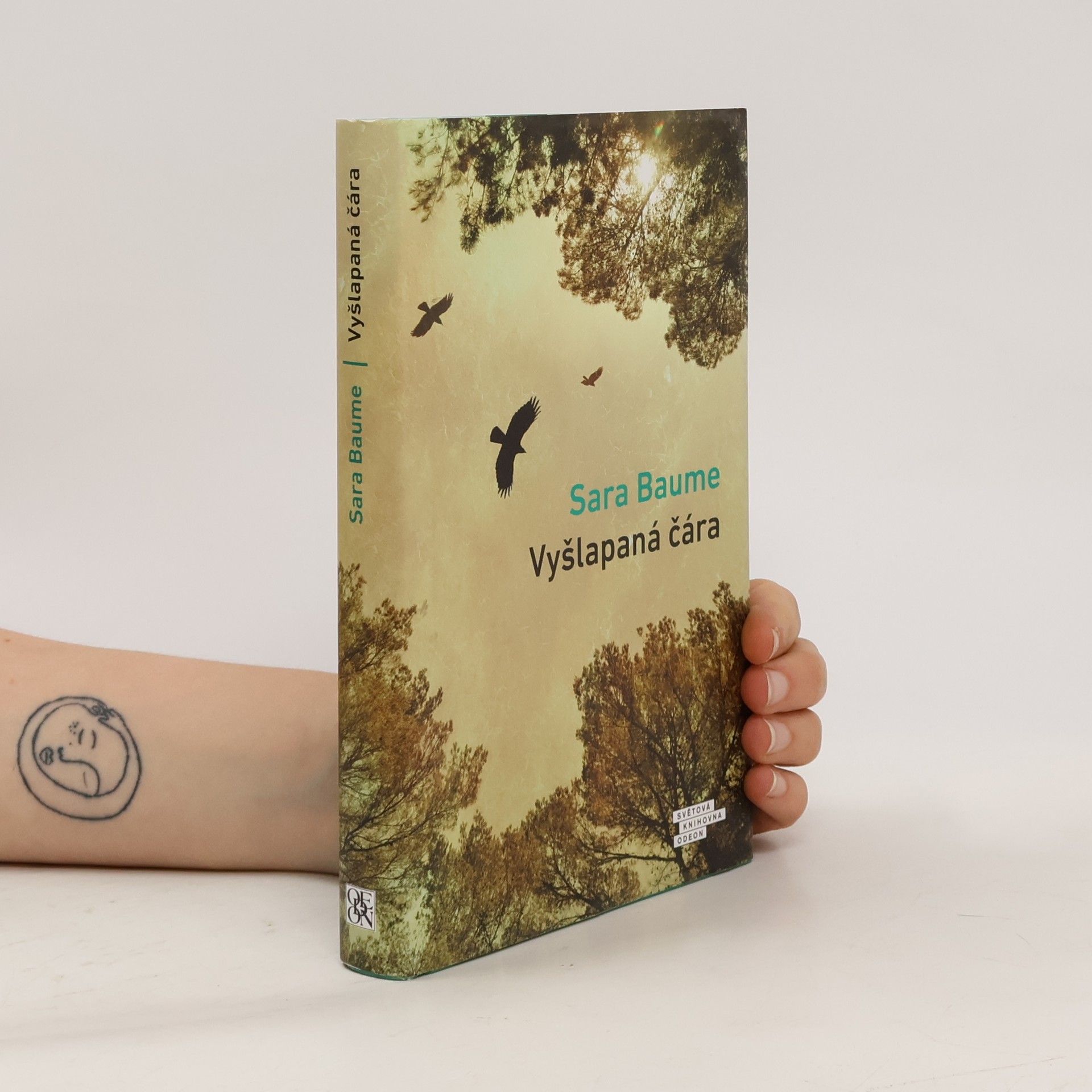 Sara Baume Vyšlapaná čára