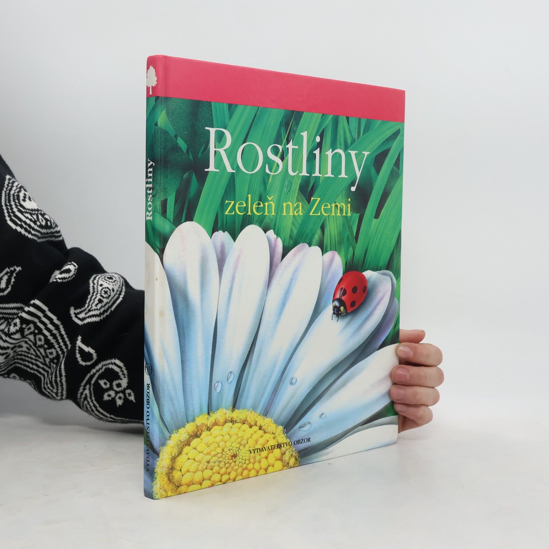 Lucia Benedittiová Rostliny. Zeleň na zemi