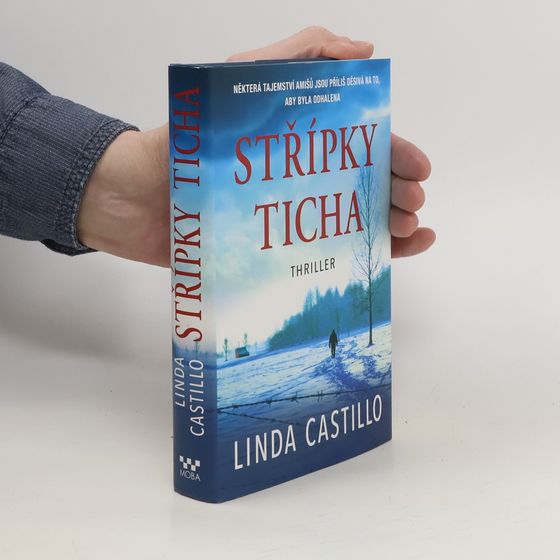 Linda Castillo Střípky ticha