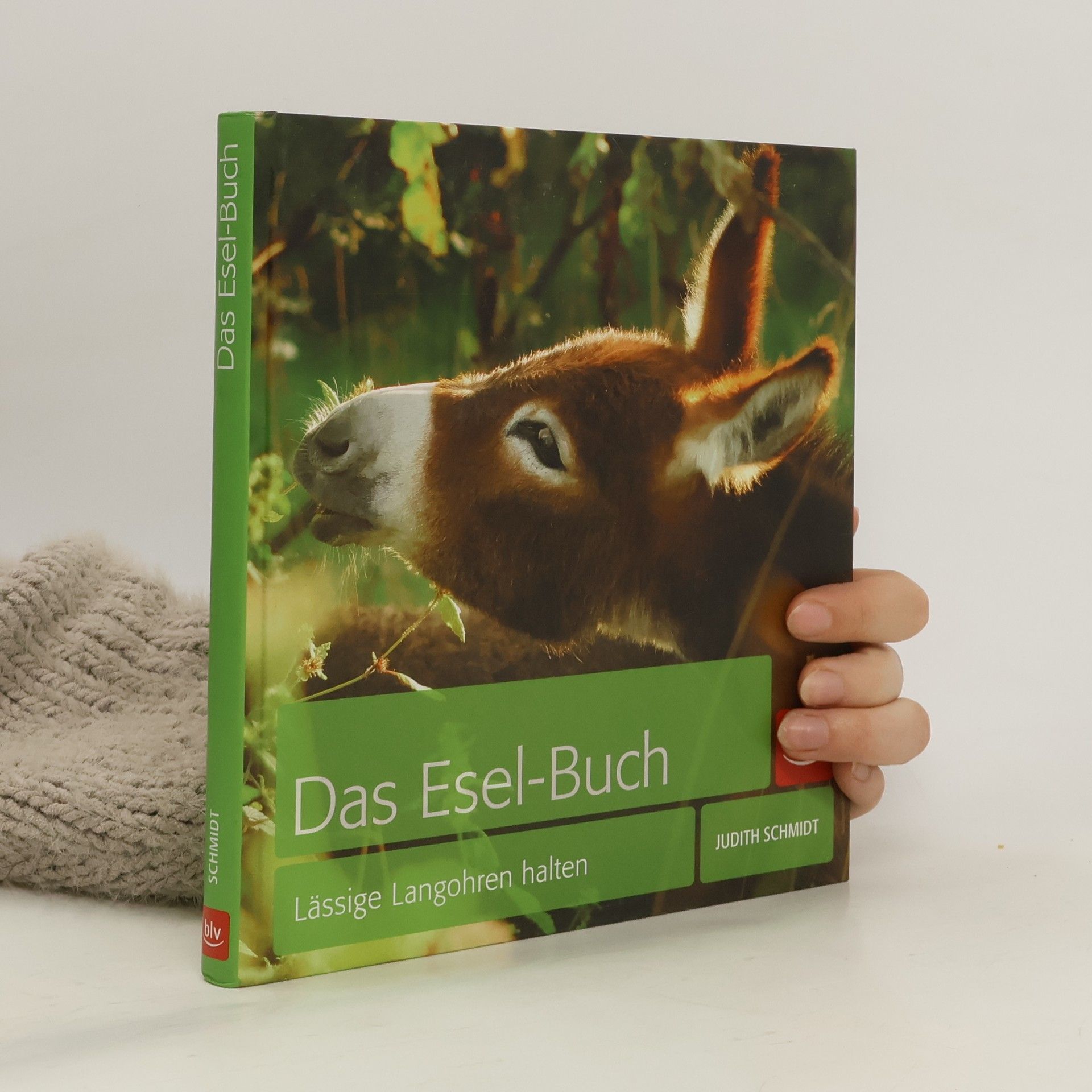 Judith Schmidt Das Esel-Buch