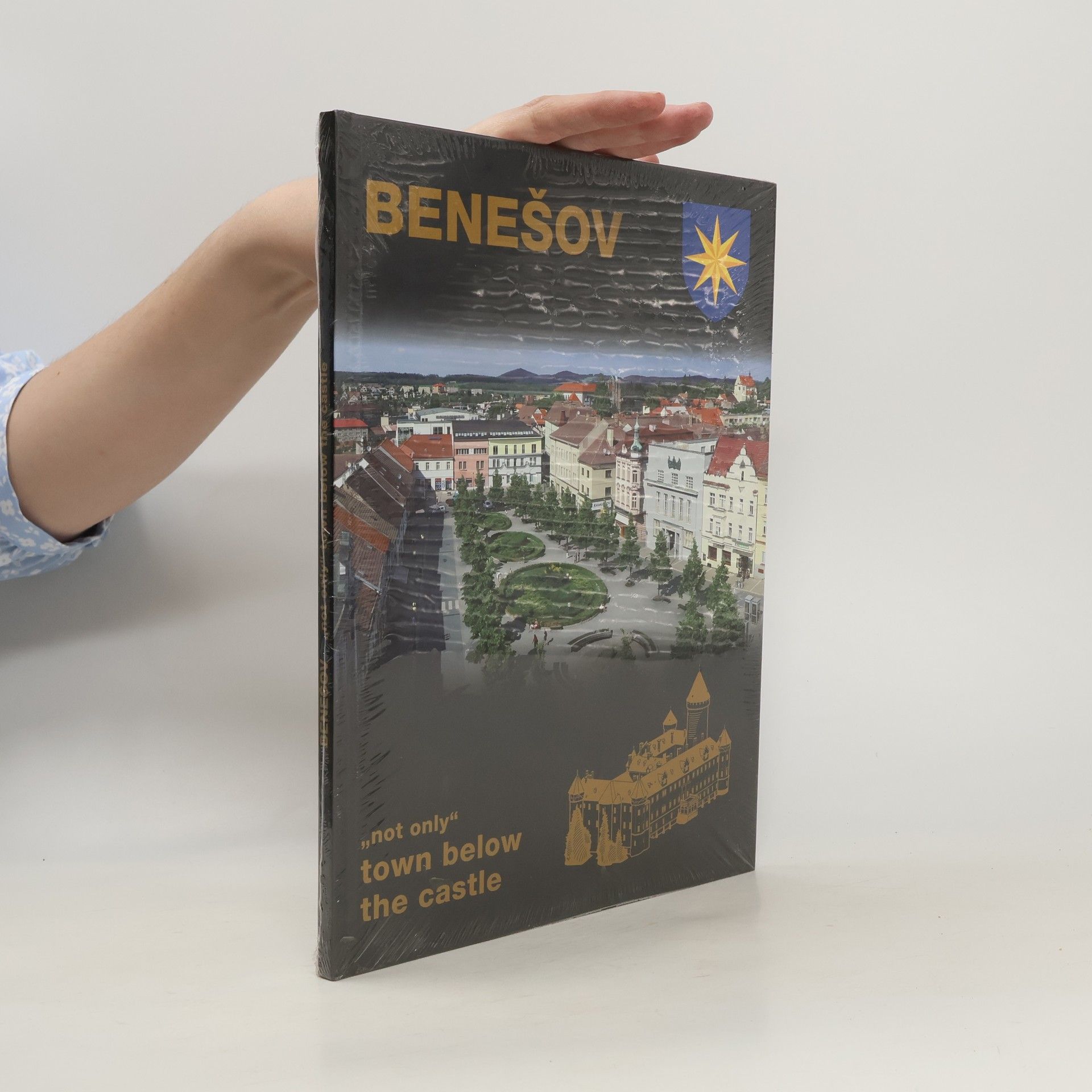 Collectif d'auteurs Benešov. "Not Only" Town Below the Castle