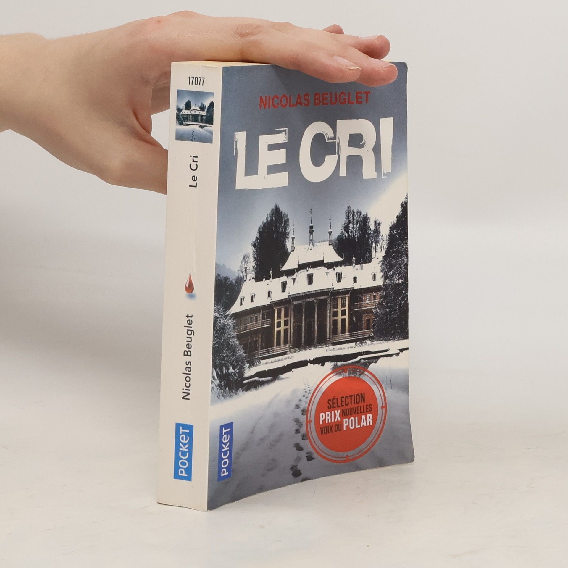 Nicolas Beuglet Le cri