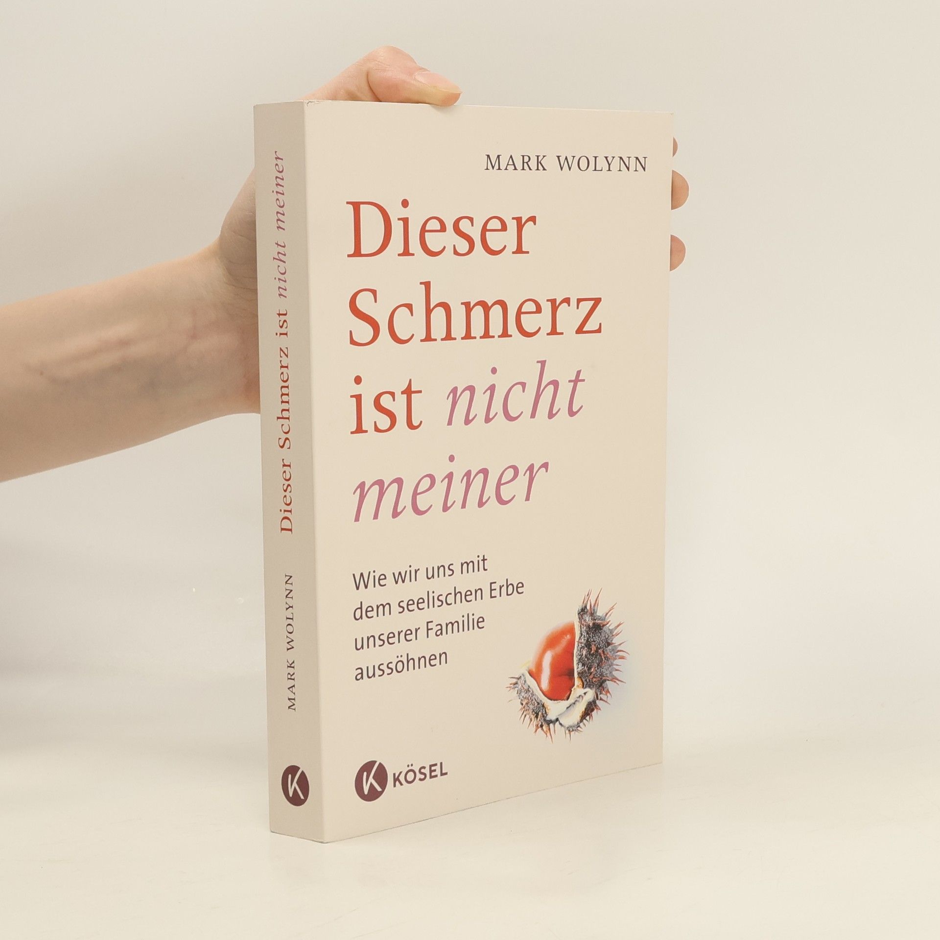 Mark Wolynn Dieser Schmerz ist nicht meiner