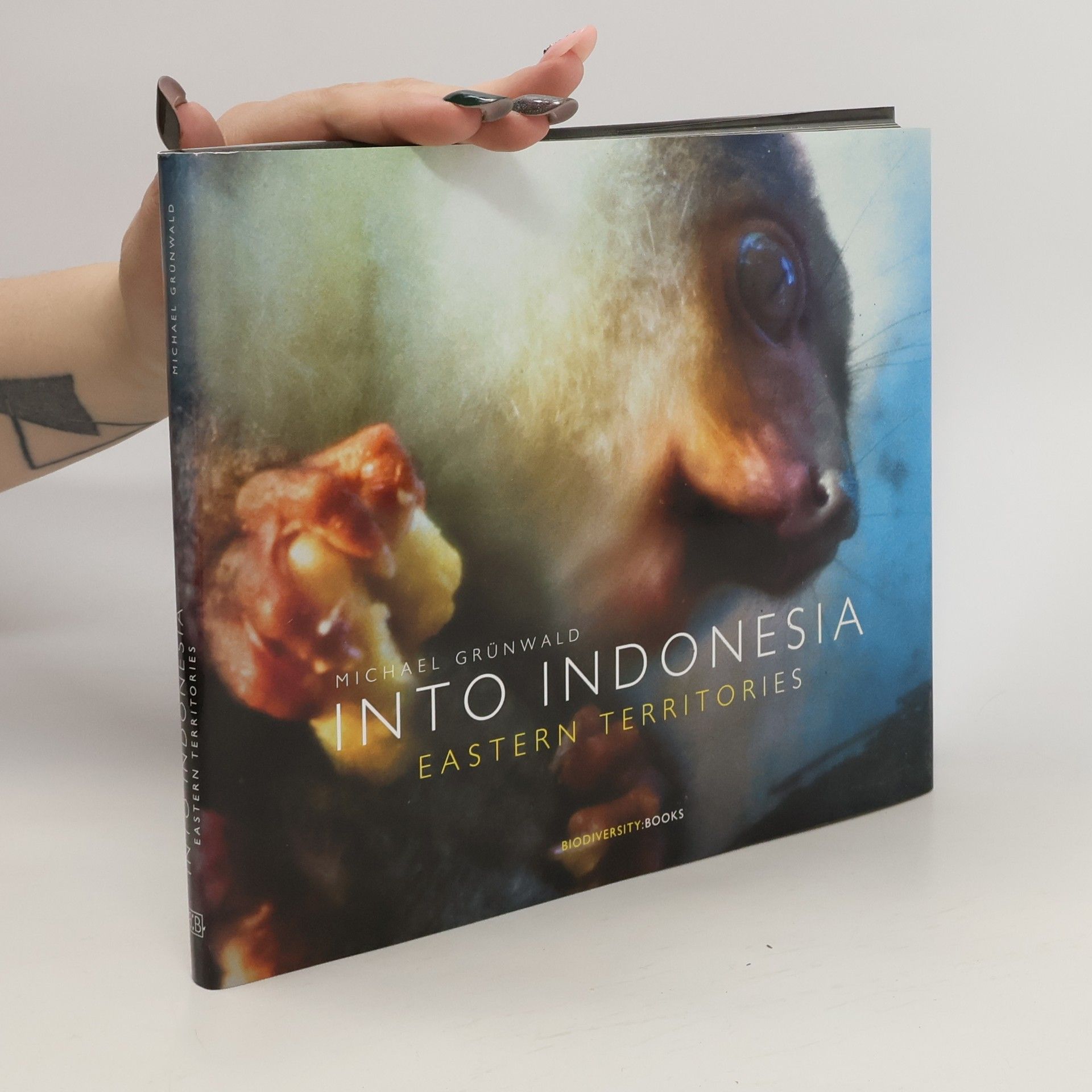 Michael Grunwald Into Indonesia - Eastern Territories