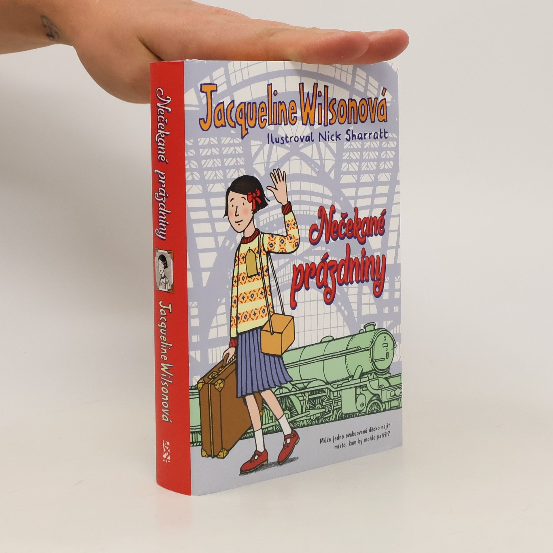 Jacqueline Wilson Nečekané prázdniny