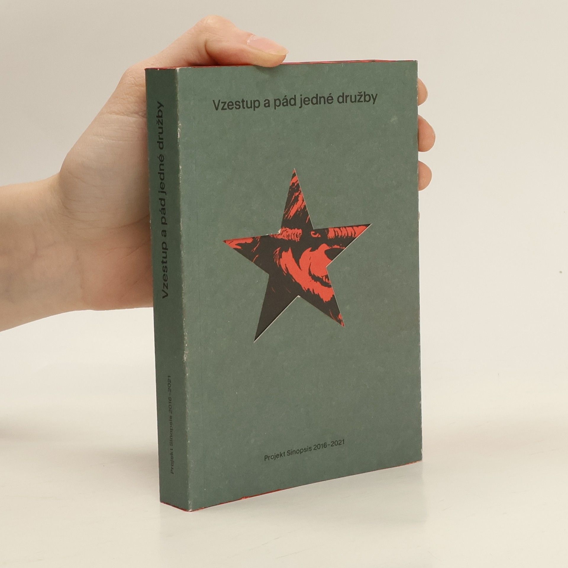 Kolektiv autorů Vzestup a pád jedné družby