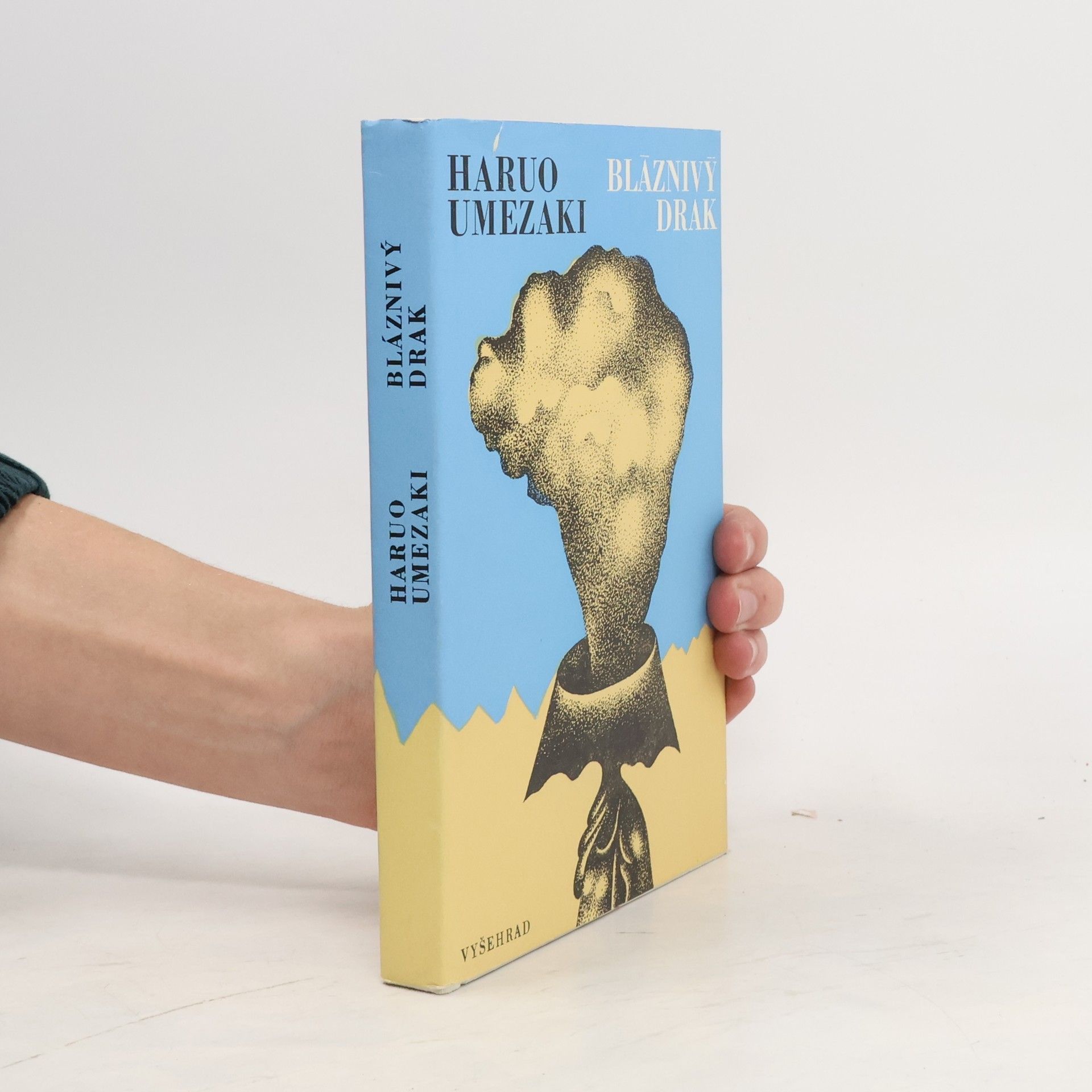 Eva Bednářová Bláznivý drak