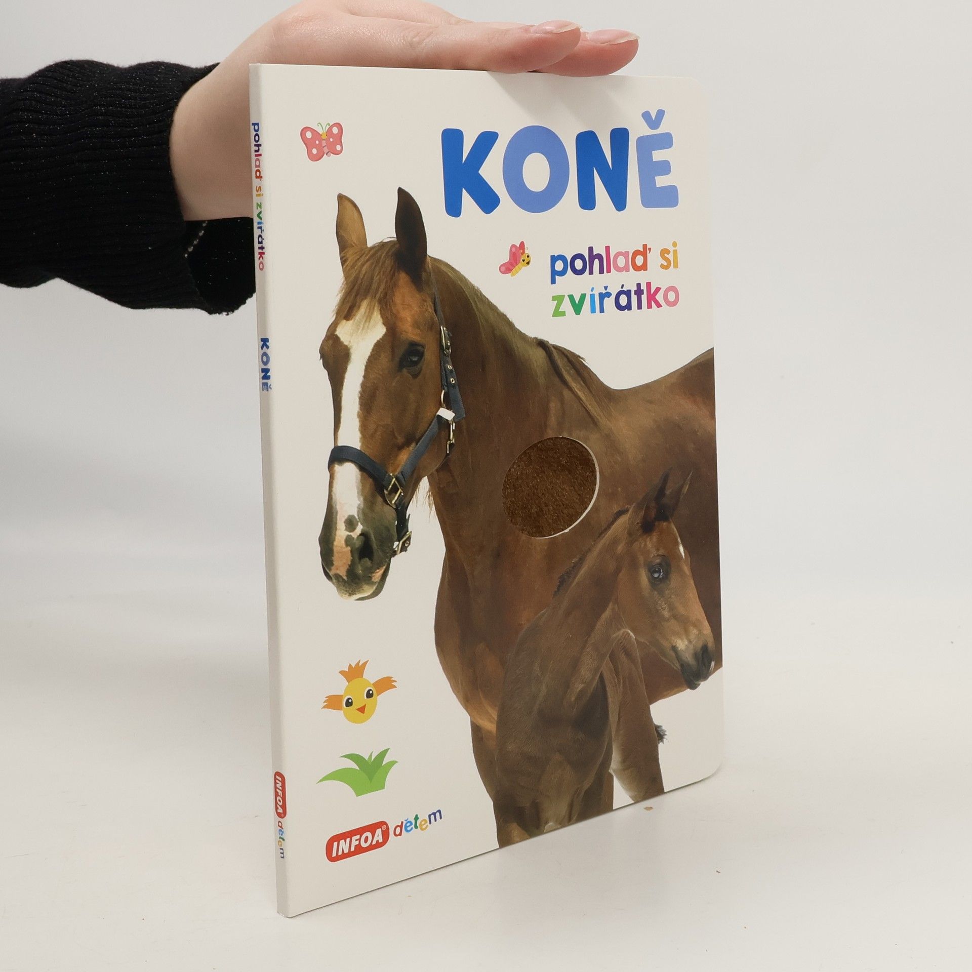 kolektiv Koně : pohlaď si zvířátko