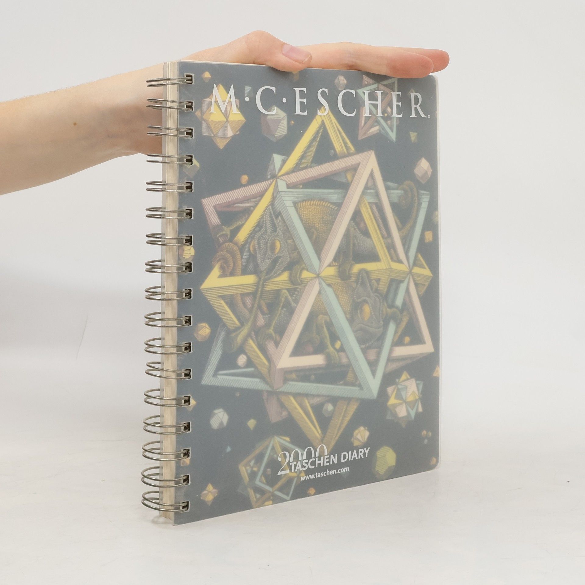 Collective Escher Diary