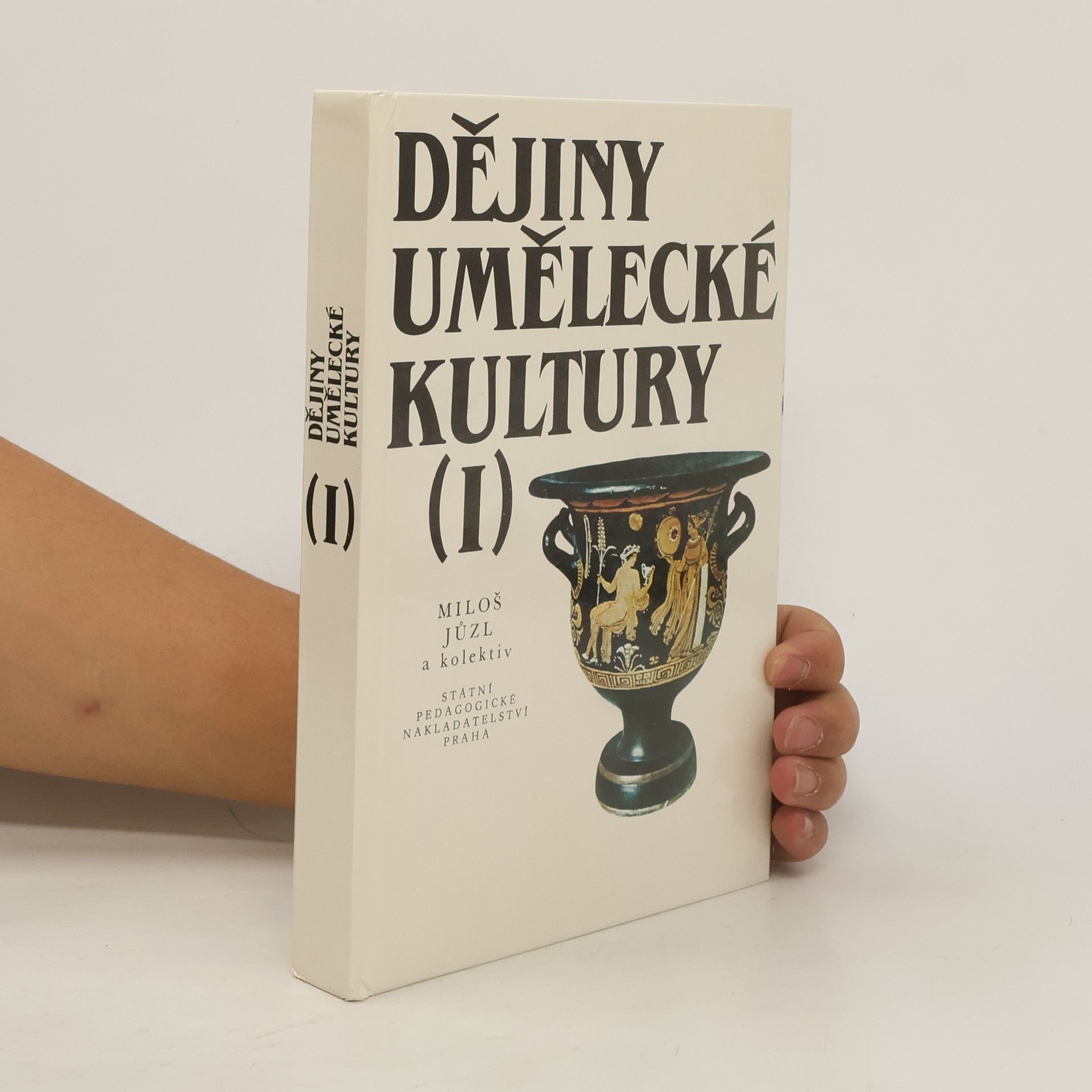 Miloš Jůzl Dějiny umělecké kultury. 1. díl
