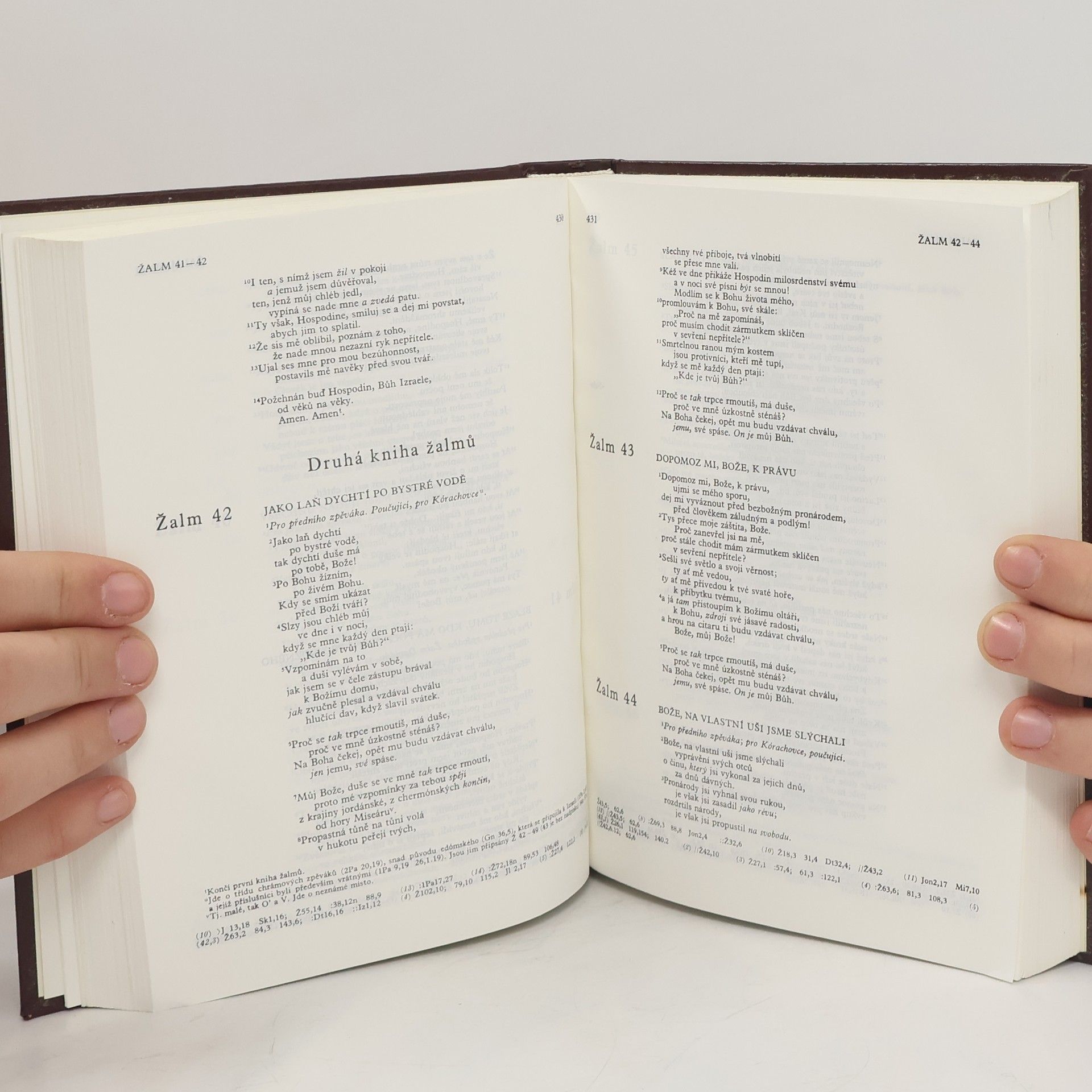Kolektiv autorů Bible. Písmo svaté Starého a Nového zákona