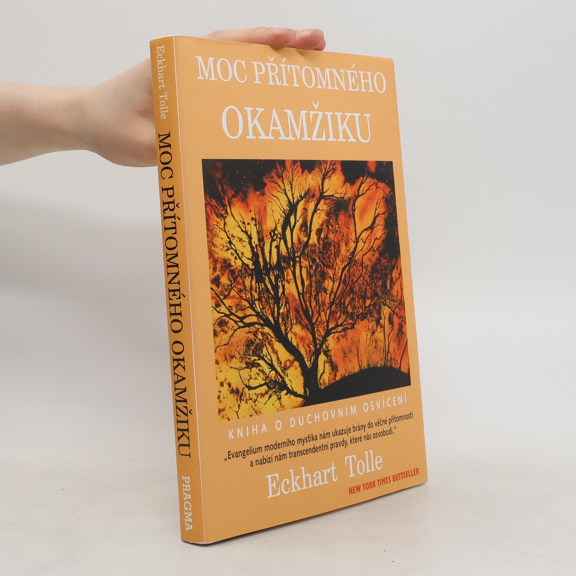 Eckhart Tolle Moc přítomného okamžiku