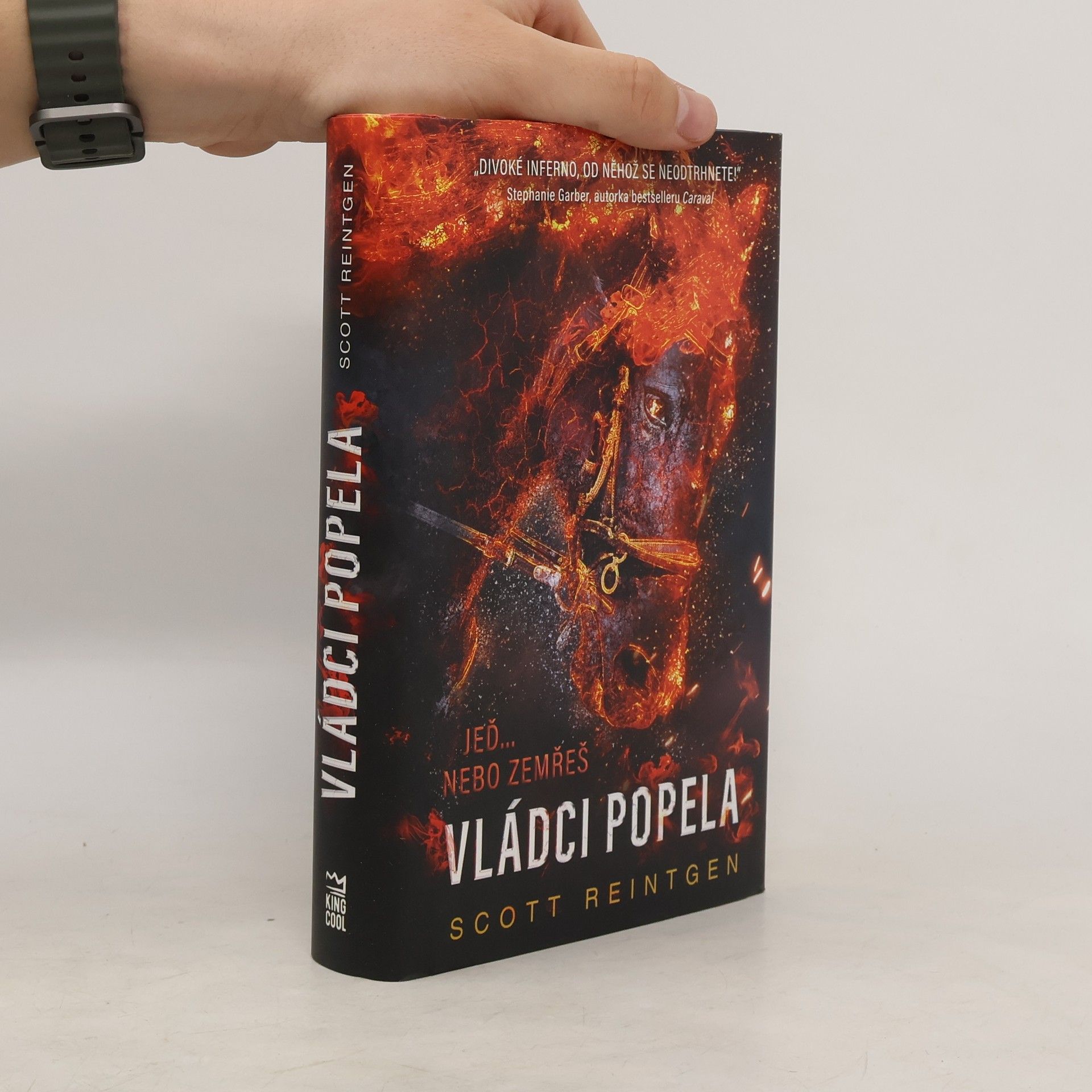 Scott Reintgen Vládci popela