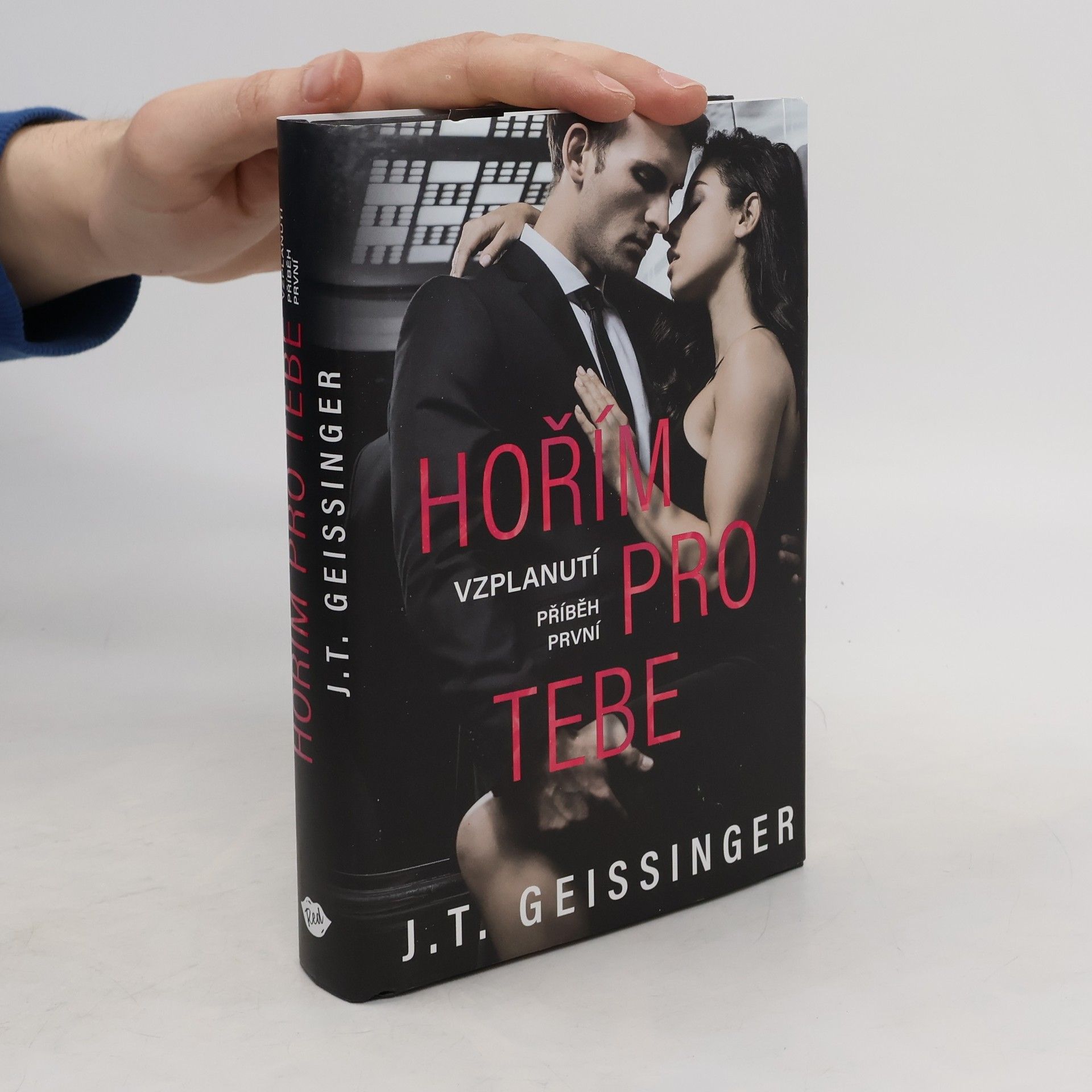 J. T. Geissinger Hořím pro tebe. Příběh první, Vzplanutí