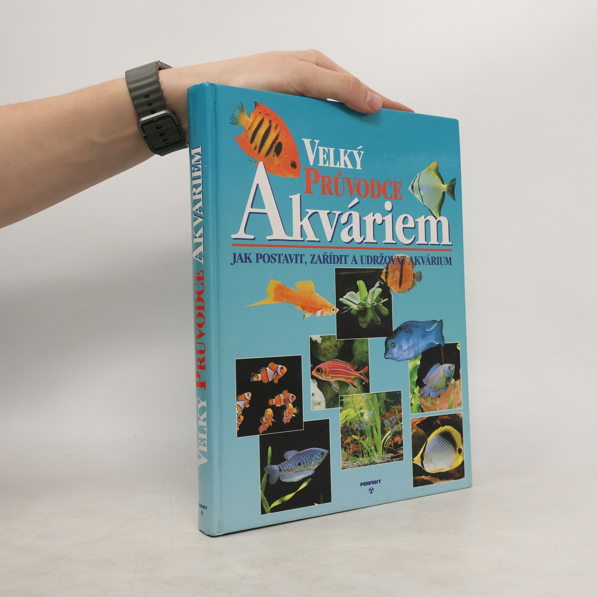 Thierry Maitre Allain Velký průvodce akváriem