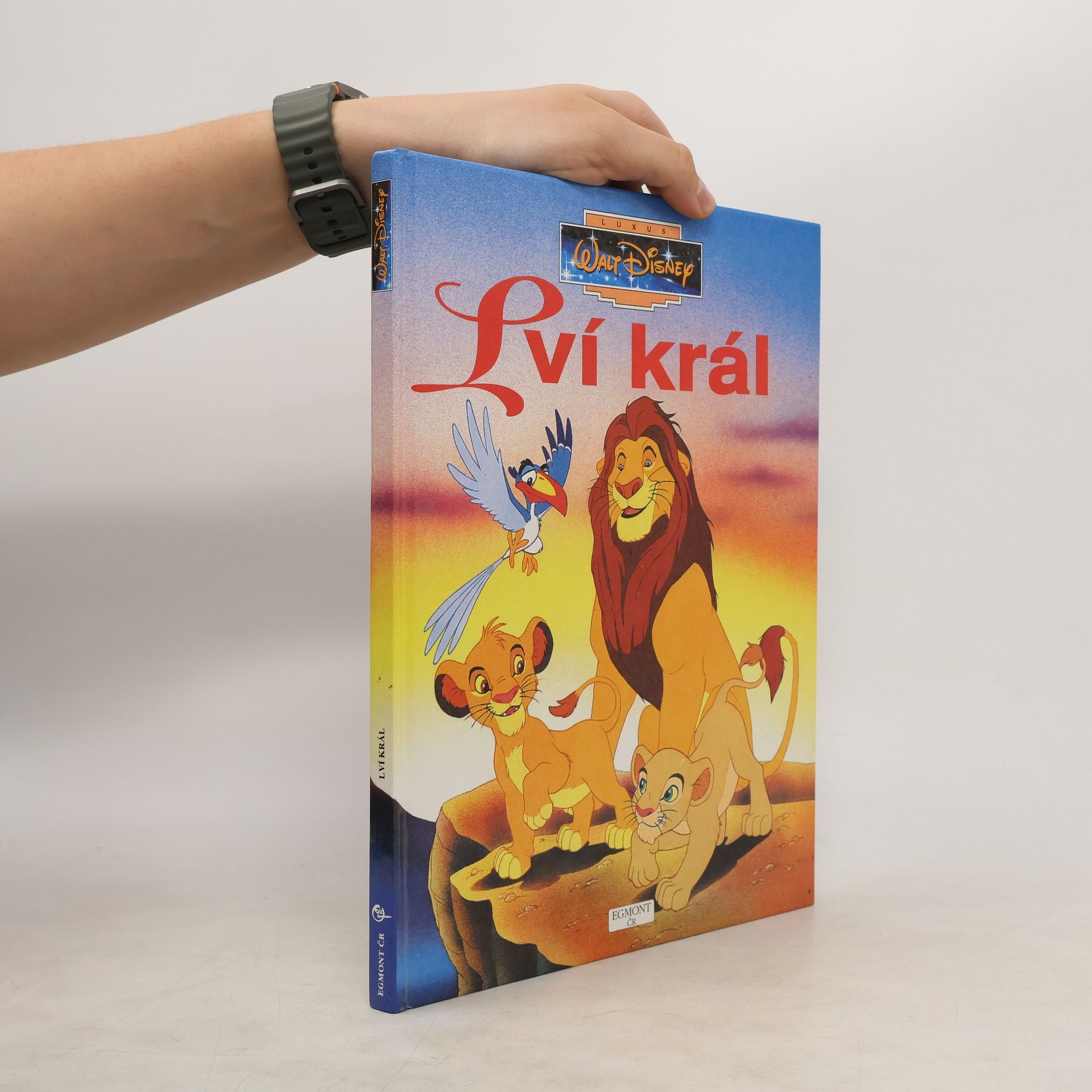 kolektiv Lví král