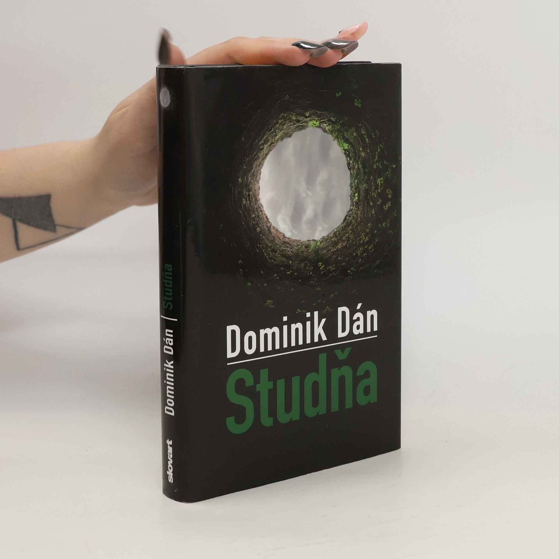 Dominik Dán Studňa