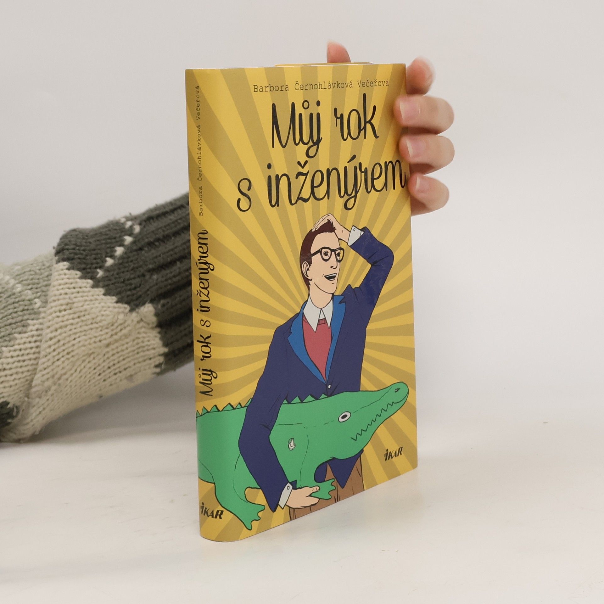 Můj rok s inženýrem