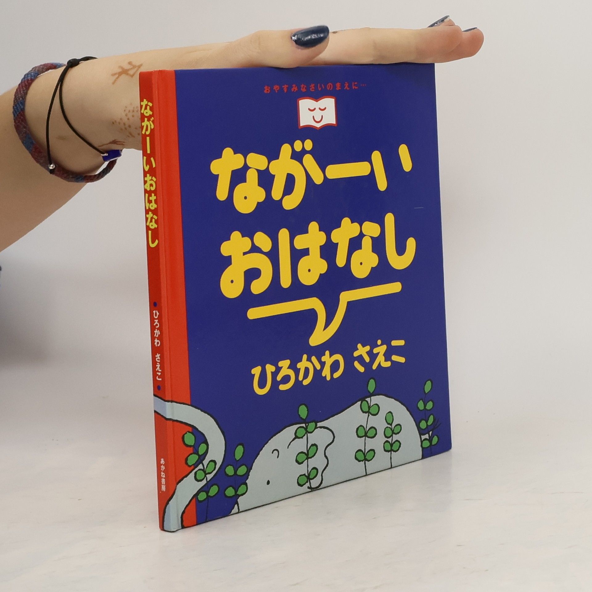 Saeko Hirokawa ながーいおはなし