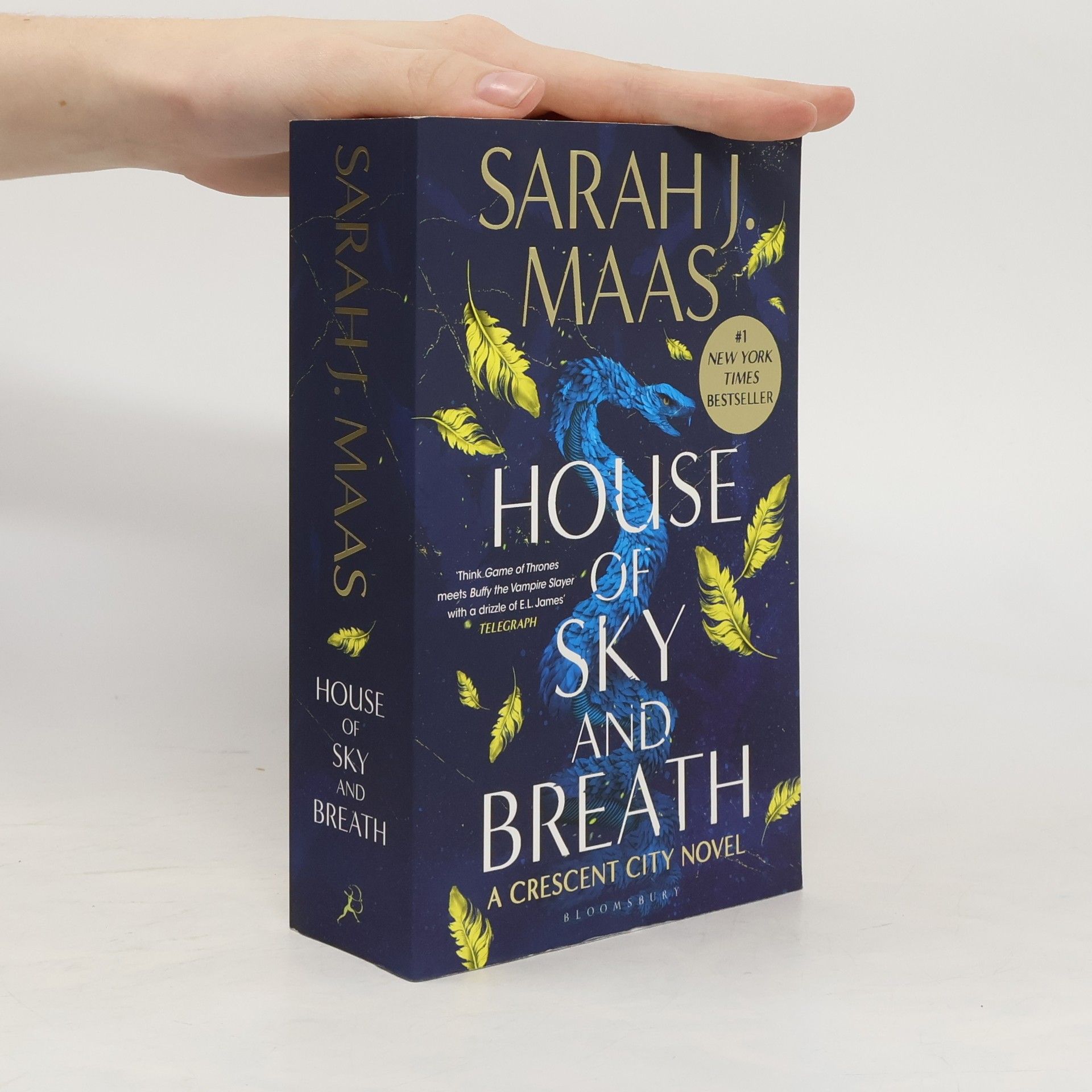 Sarah J. Maas House of sky and breath : a Crescent City novel