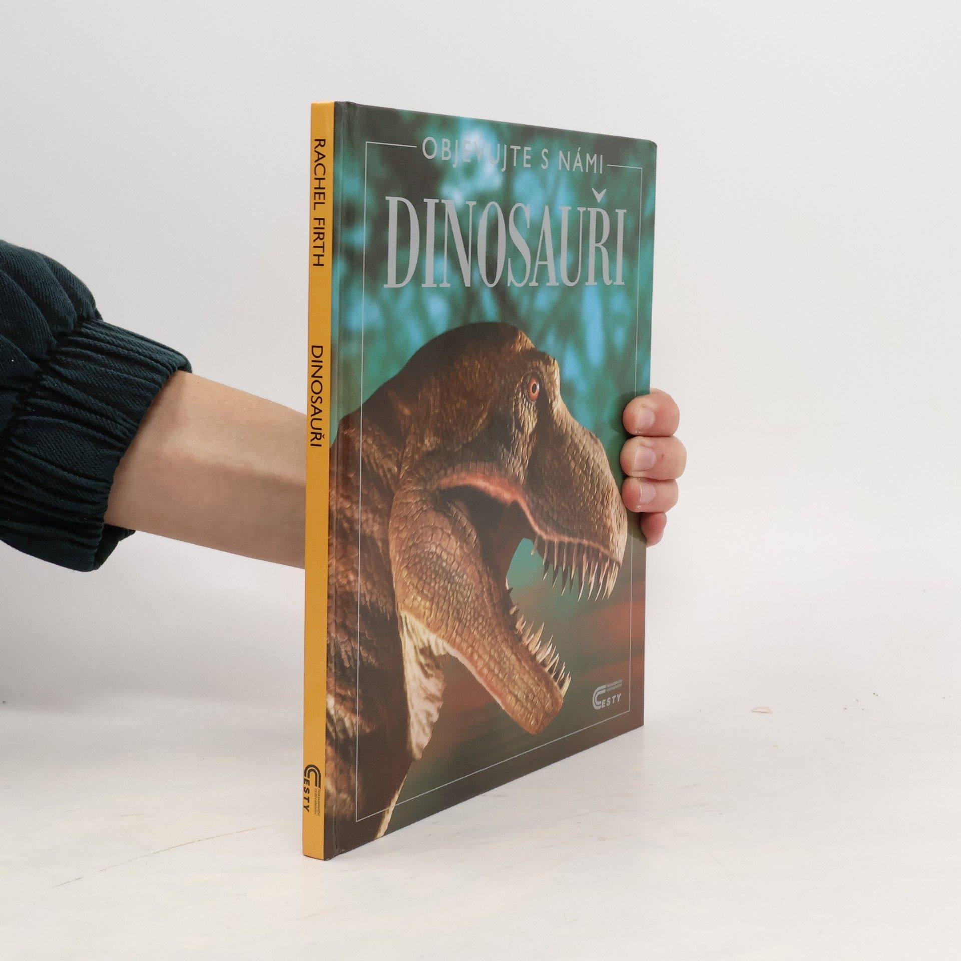 Rachel Firth Dinosauři