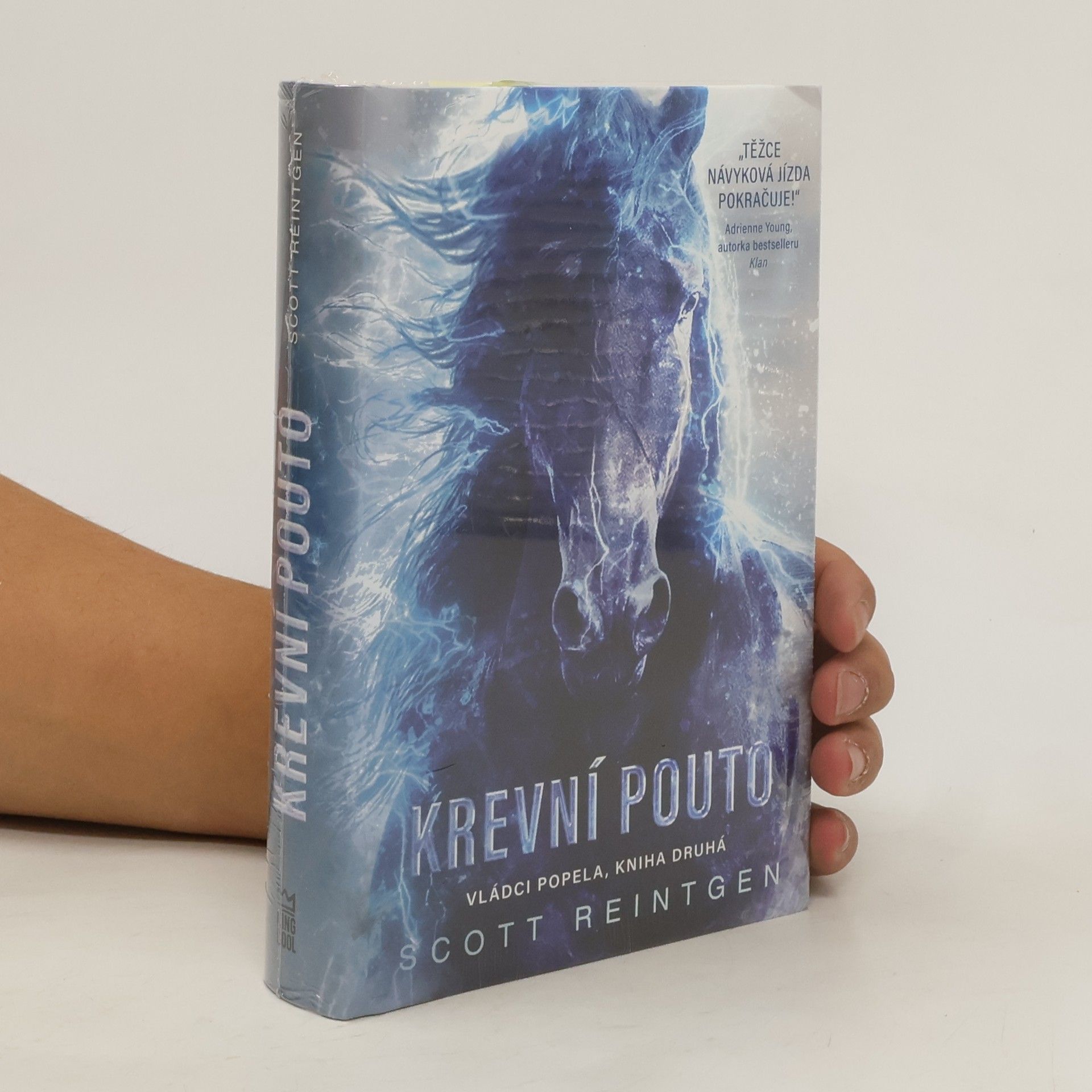 Scott Reintgen Vládci popela. Kniha druhá, Krevní pouto