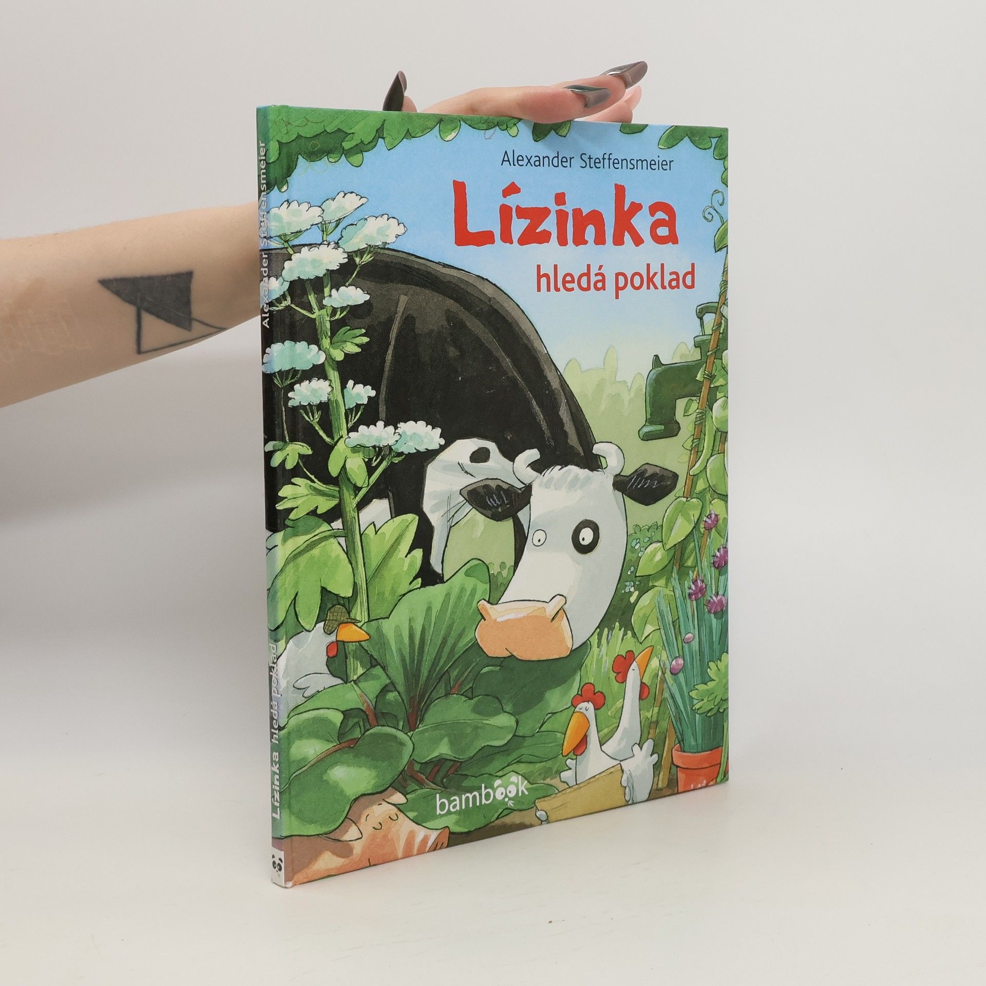 Alexander Steffensmeier Lízinka hledá poklad