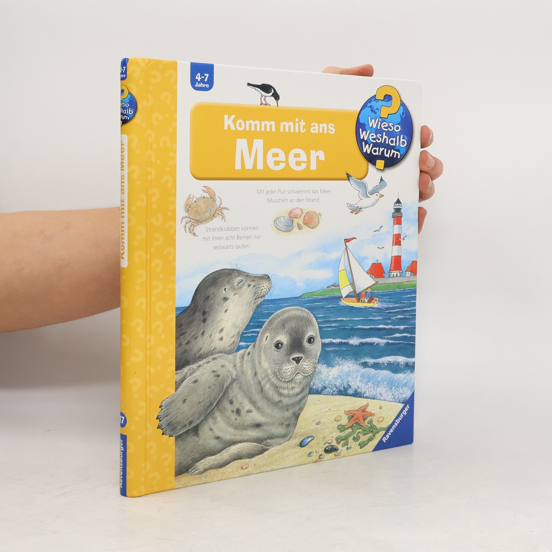 Angela Weinhold Komm mit ans Meer