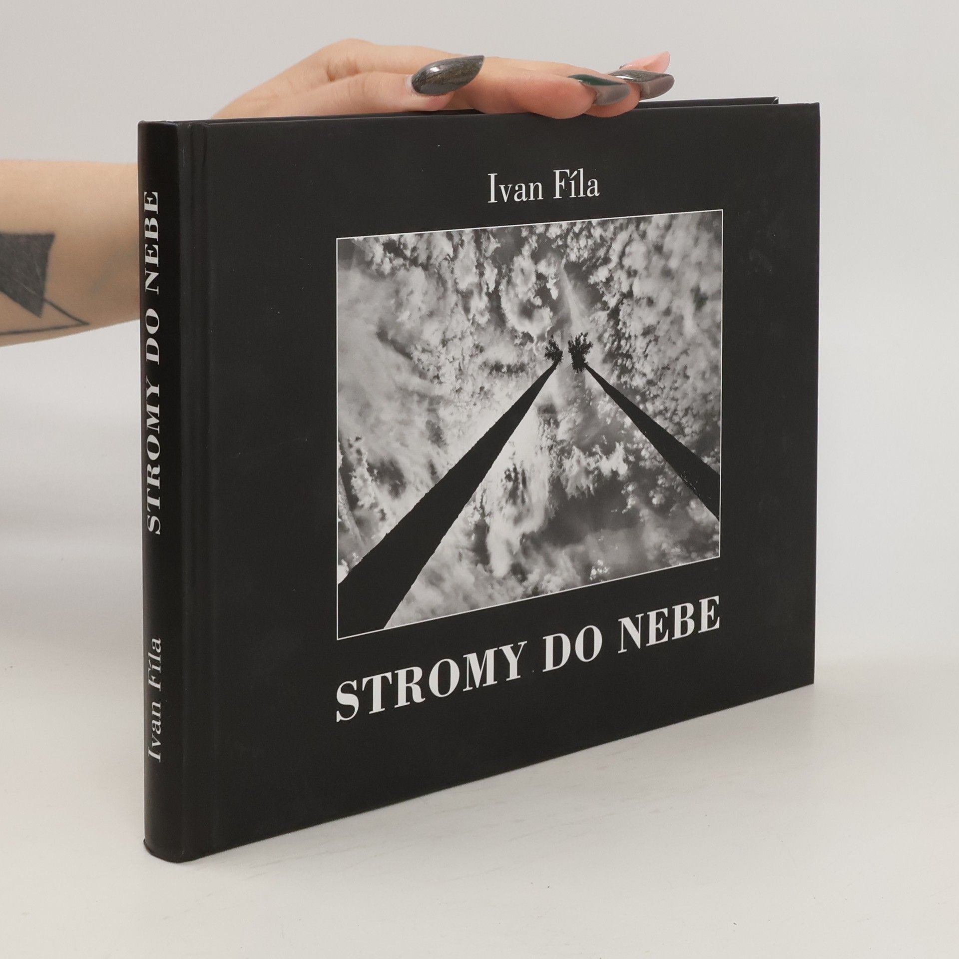 Ivan Fíla Stromy do nebe
