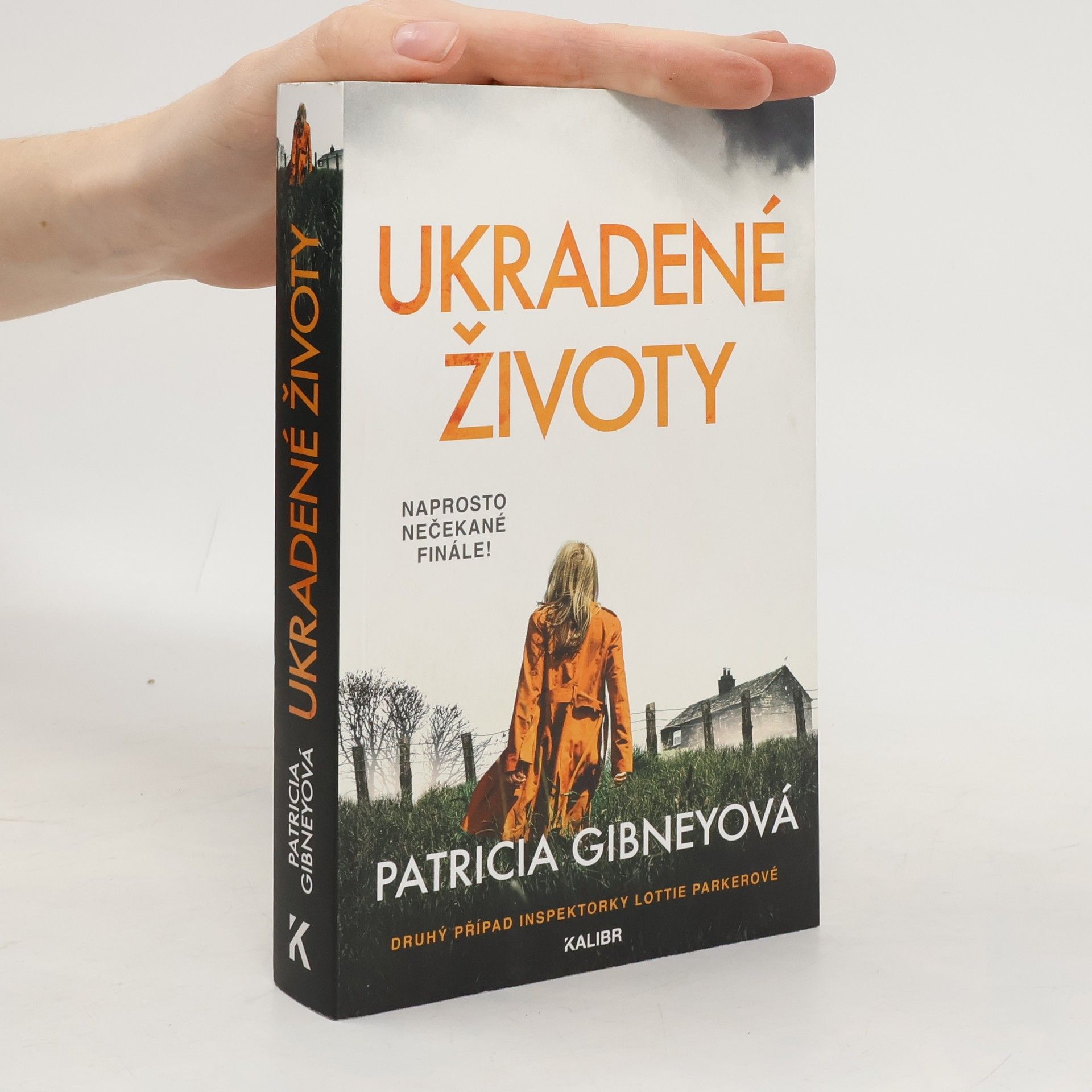 Patricia Gibney Ukradené životy