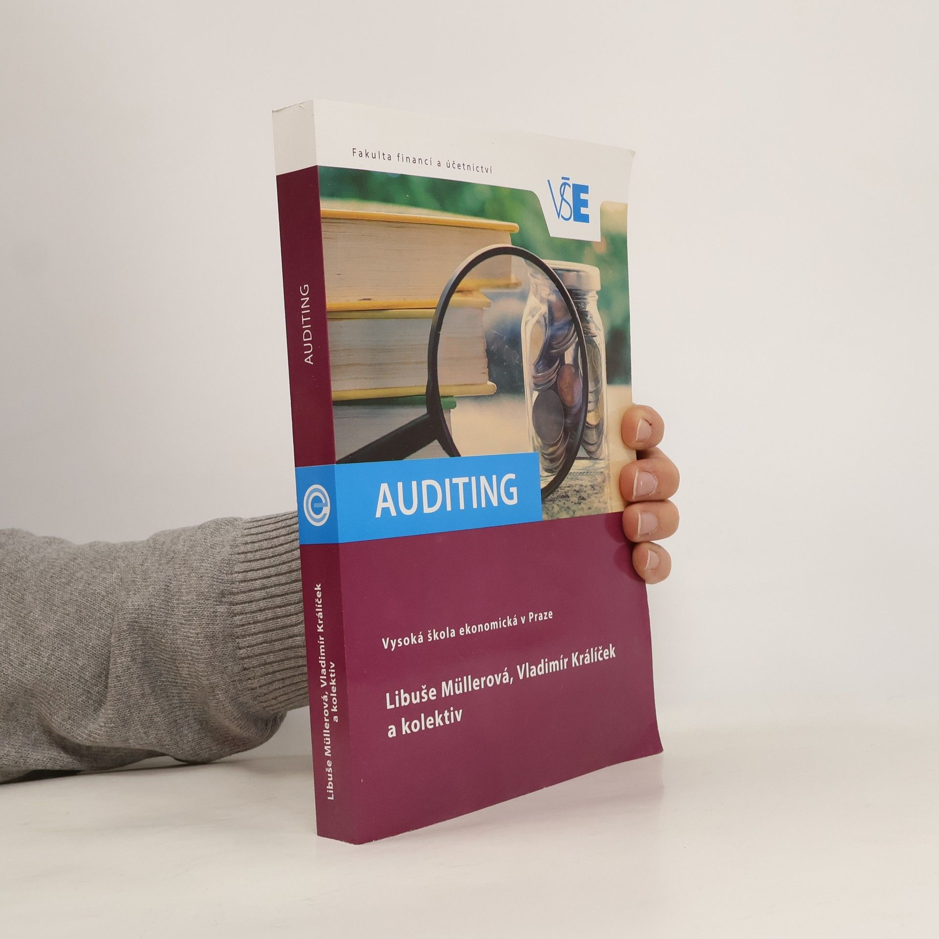Libuše Müllerová Auditing