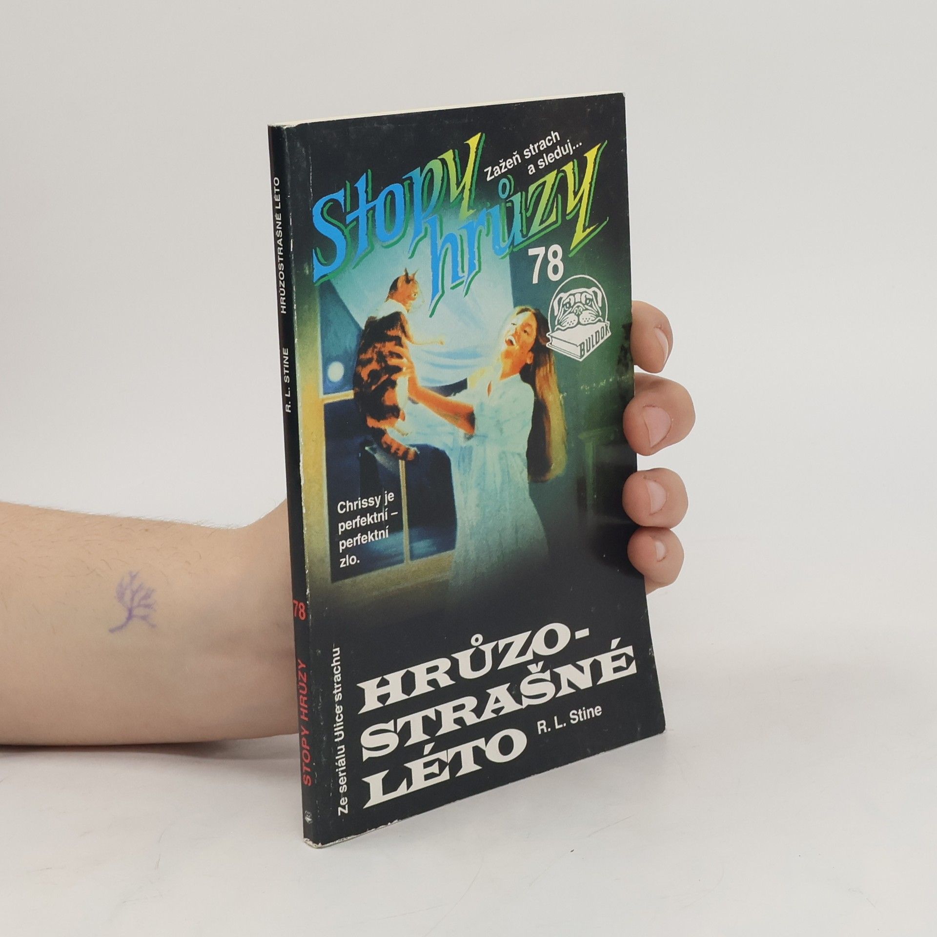 R. L. Stine Hrůzostrašné léto